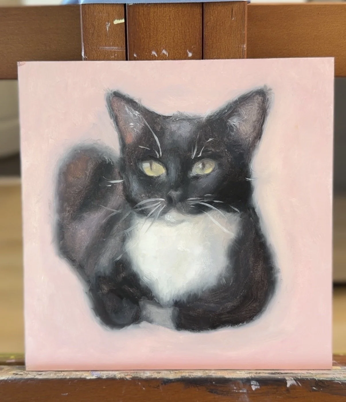 Cat Study after Tina Figarelli