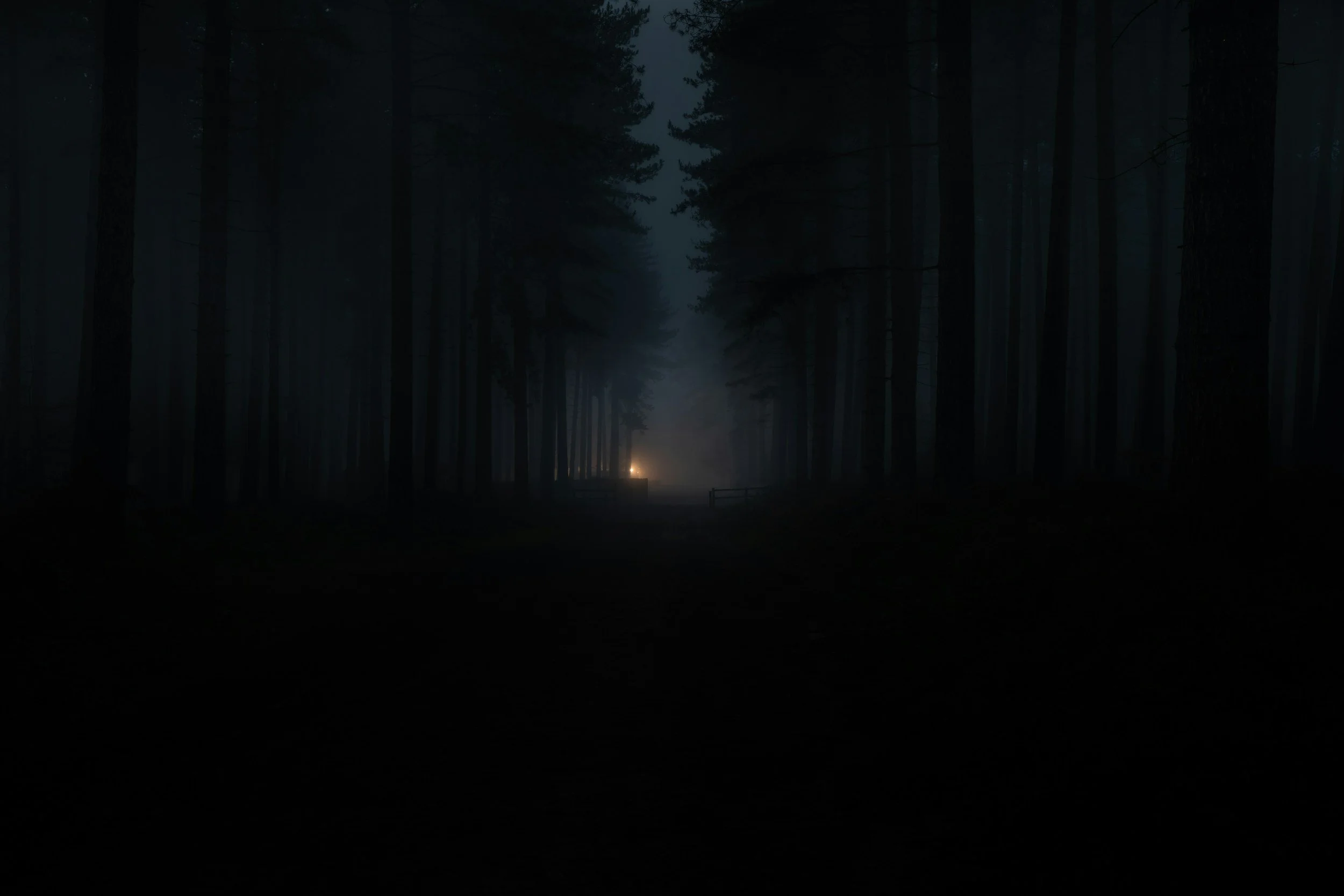 A dark, foggy forest at night with a faint light source in the distance.