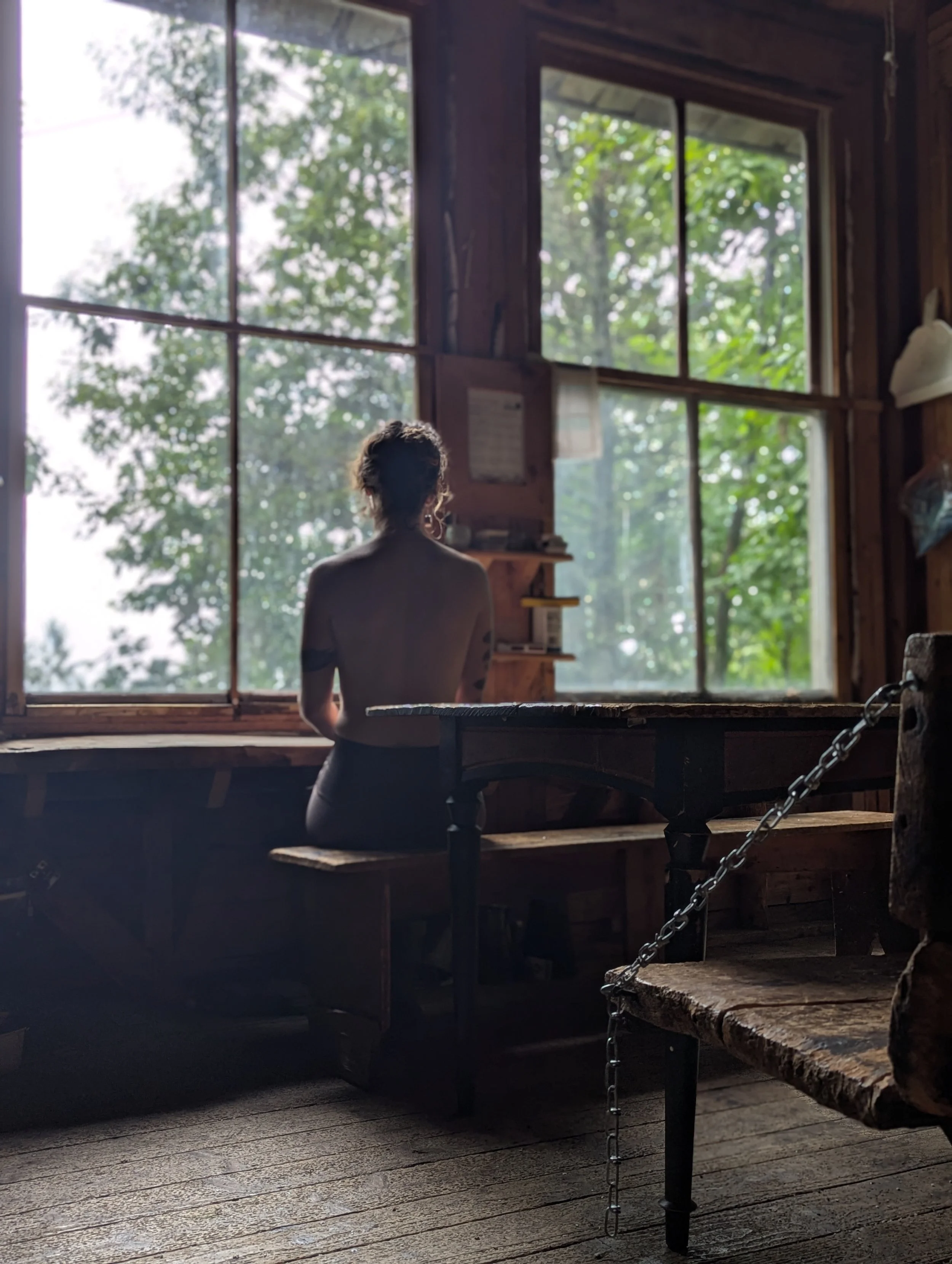 A person with curly hair, seen from behind, sitting on a rustic wooden bench inside a wooden cabin, looking out a large window with a view of green trees.