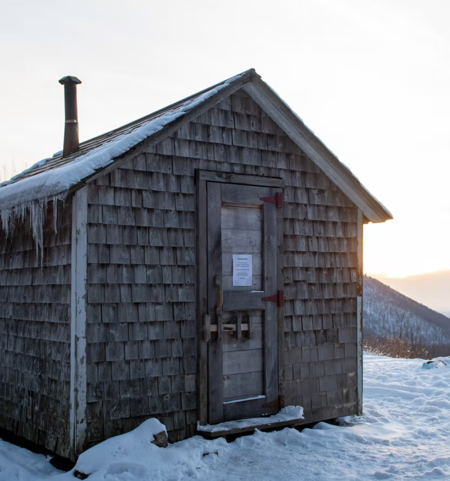 cabin in the woods