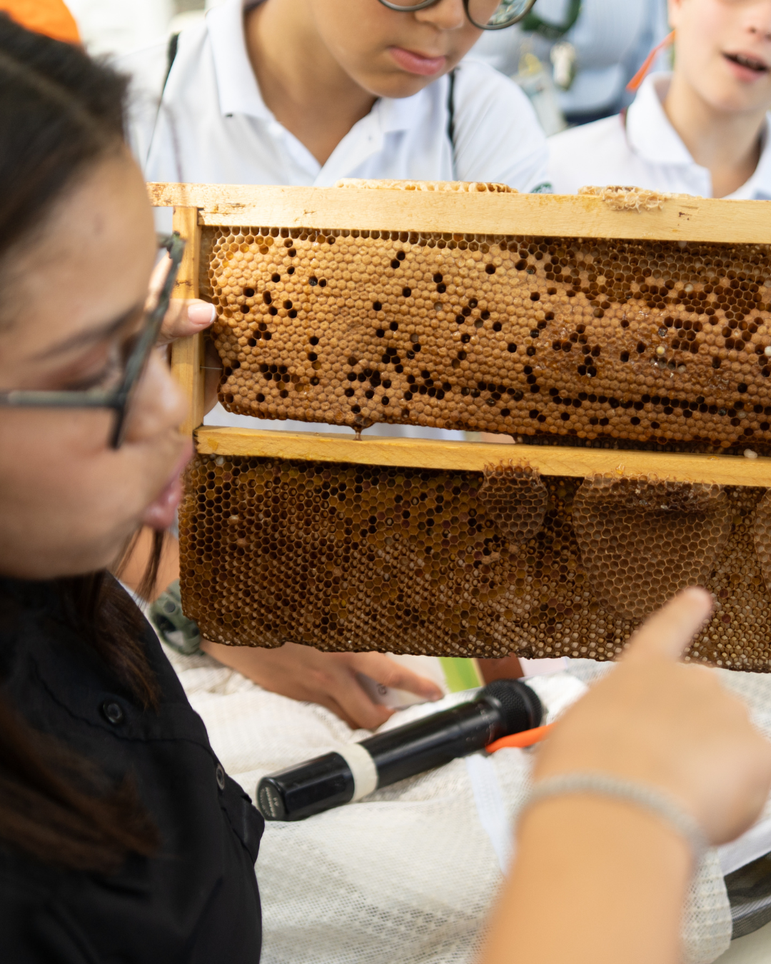Especialista en agroambiente, biodiversidad y apicultura