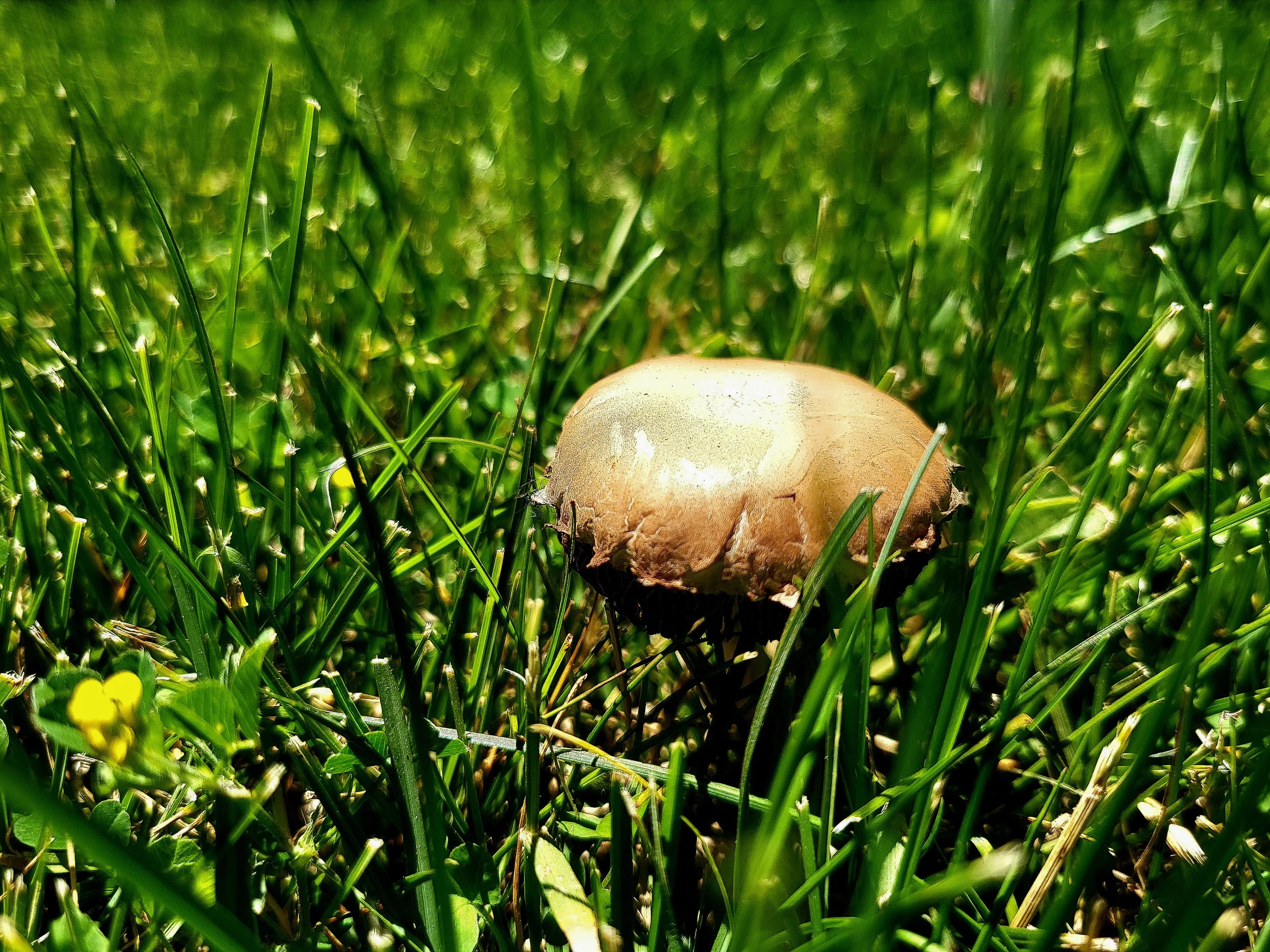 20260623_121100.jpg