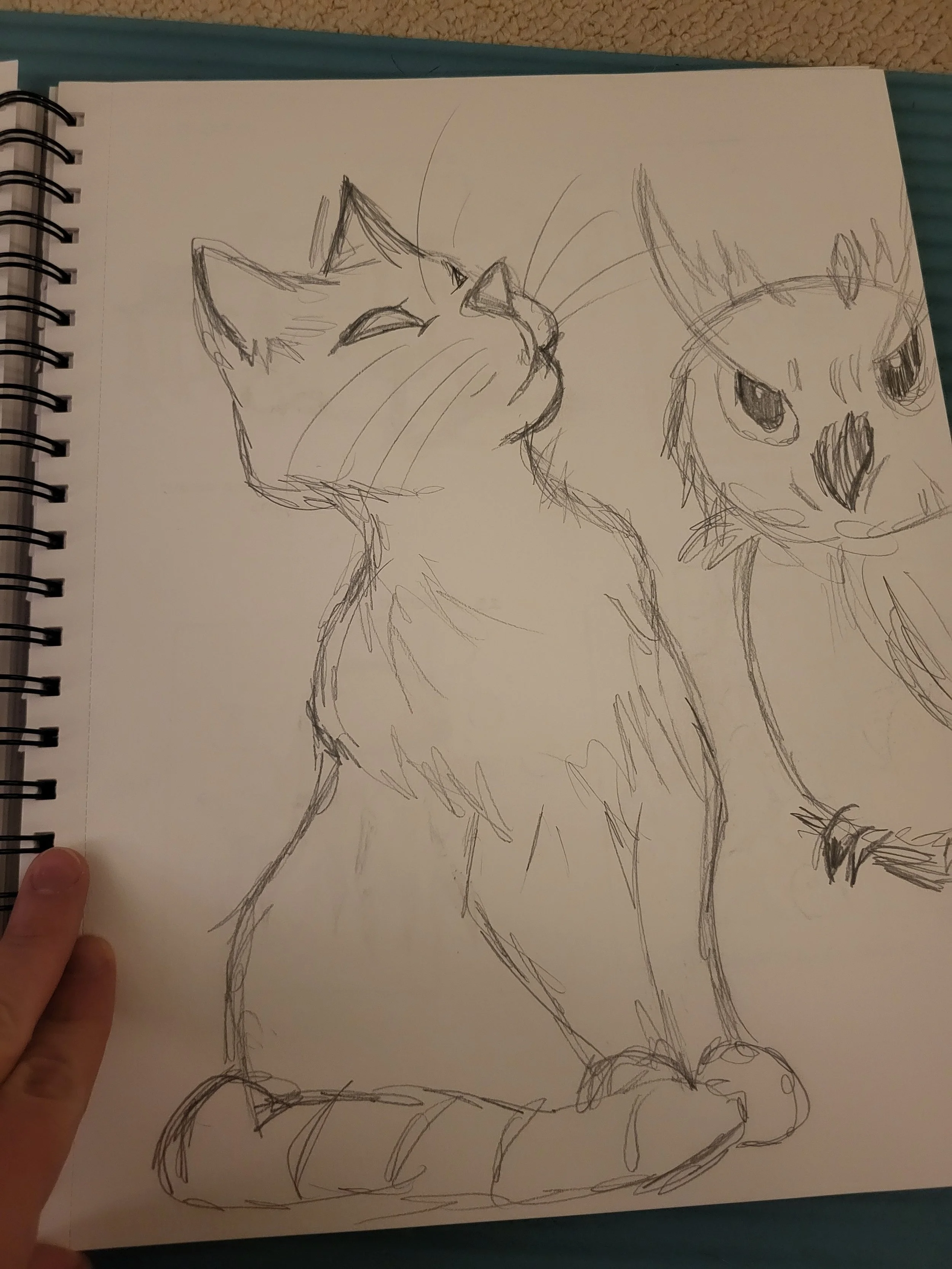 Grumpy cat, grumpy cat, what aren't they feeding you? 