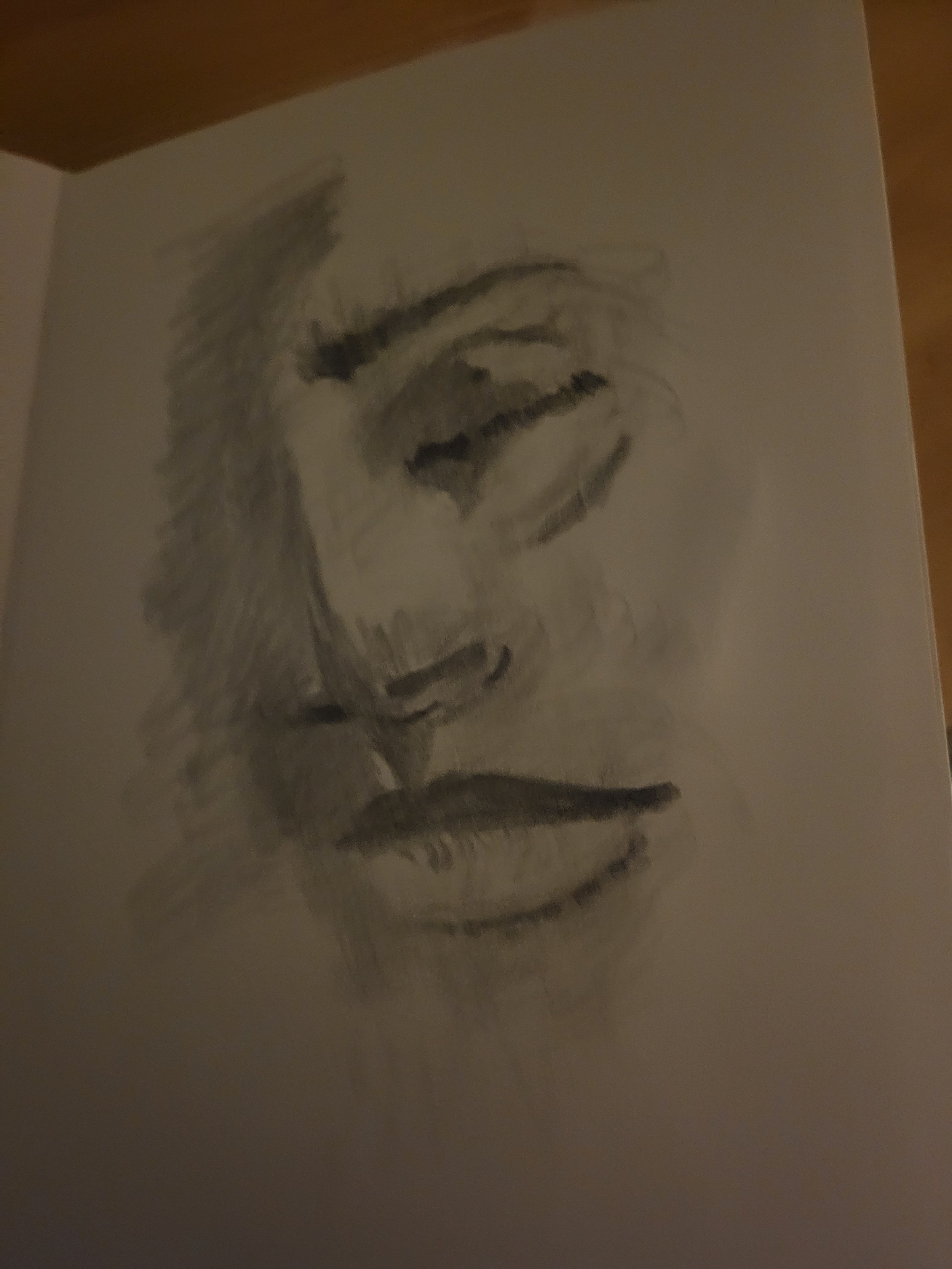 20260404_225128.jpg