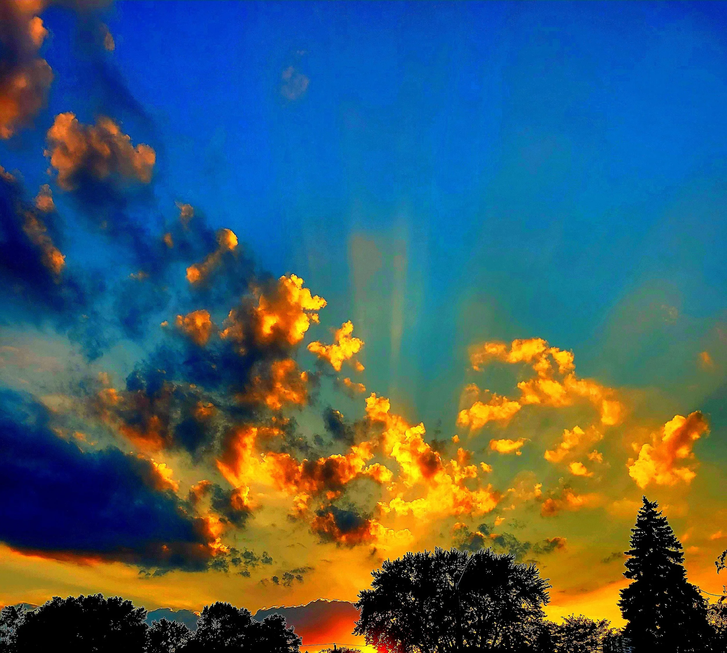 20230905_191946 1 1.jpg