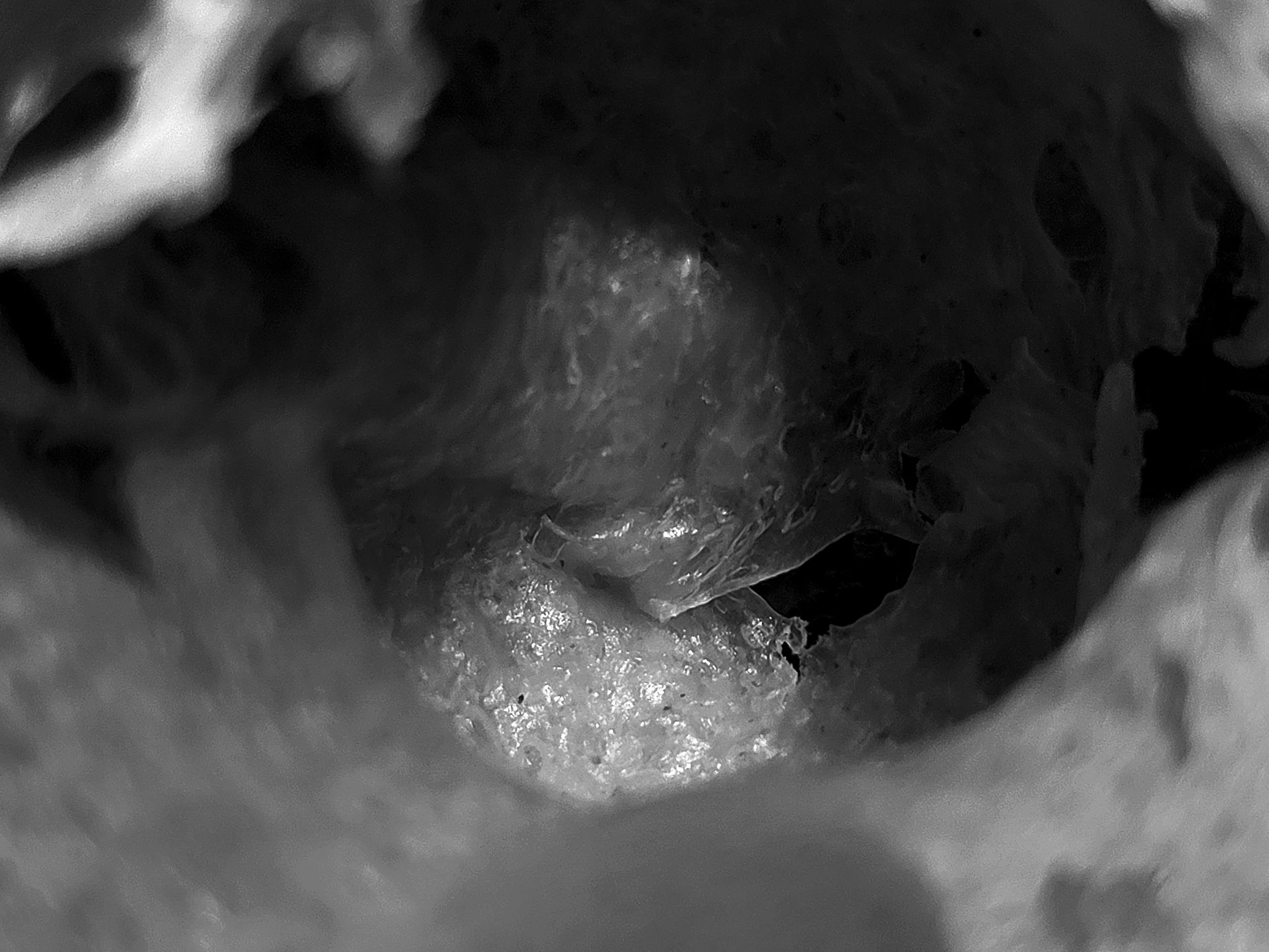 20251108_215247.jpg