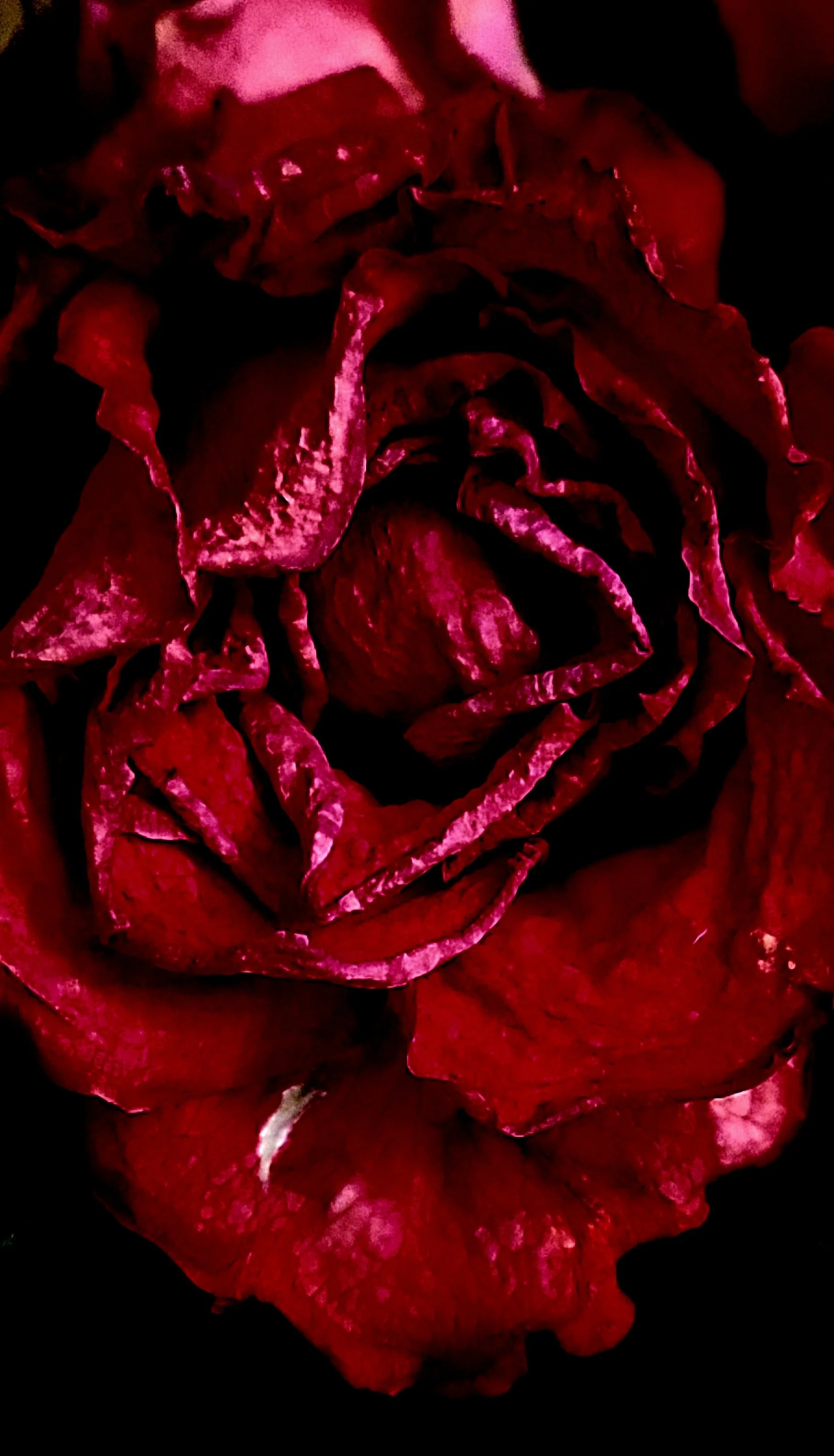 20210227_141316 1.jpg