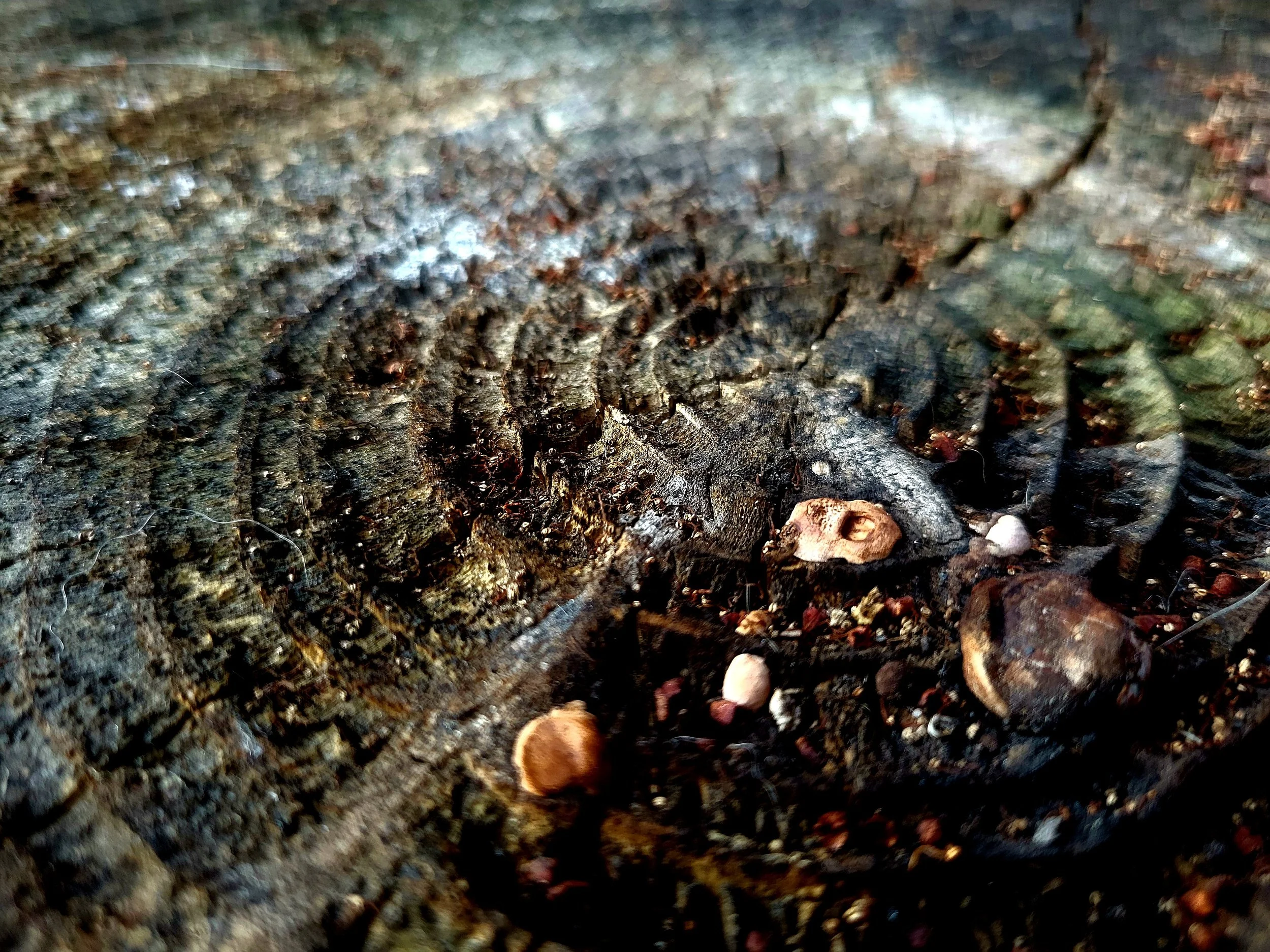 20260723_194926.jpg