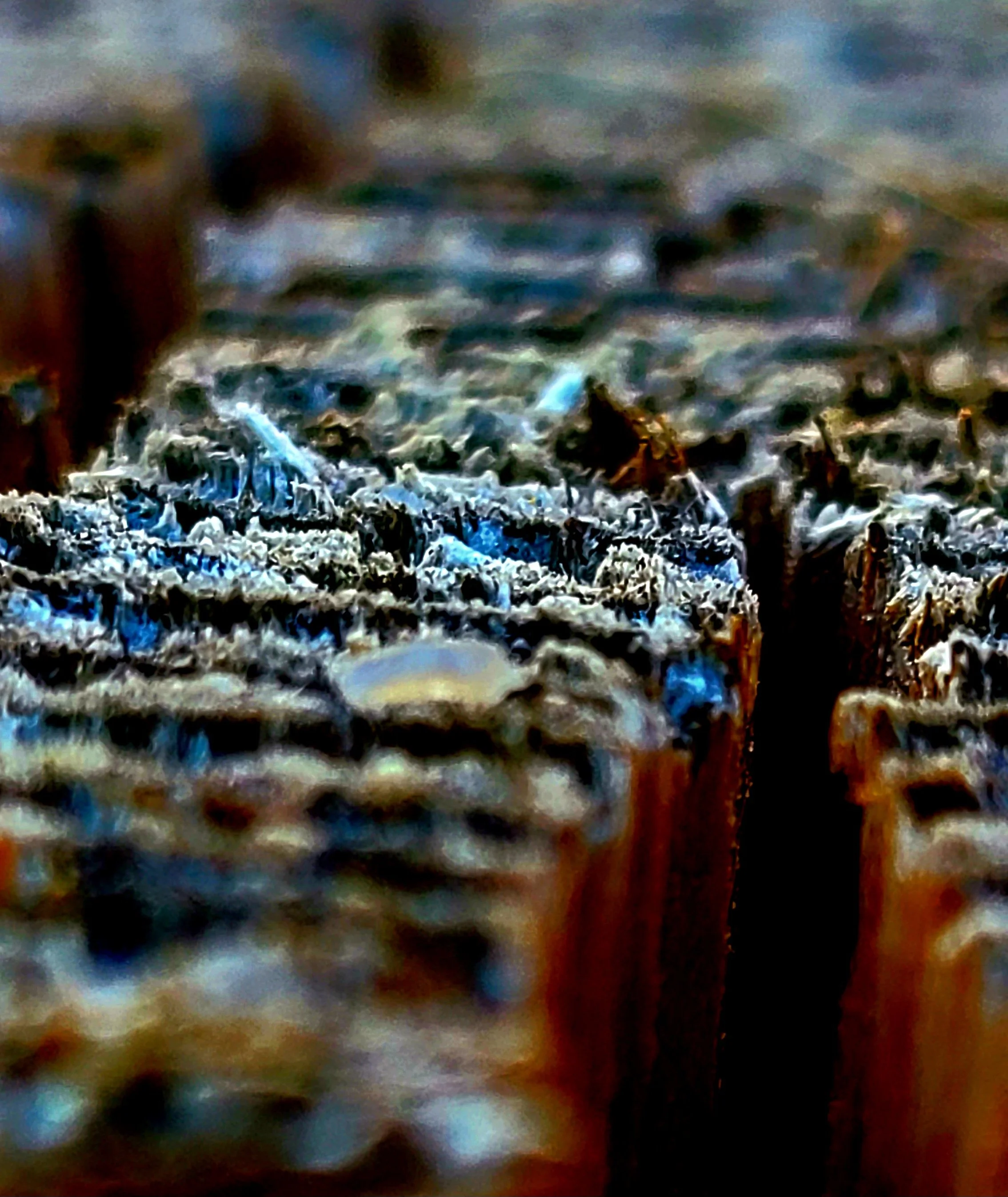 20210307_142330.jpg