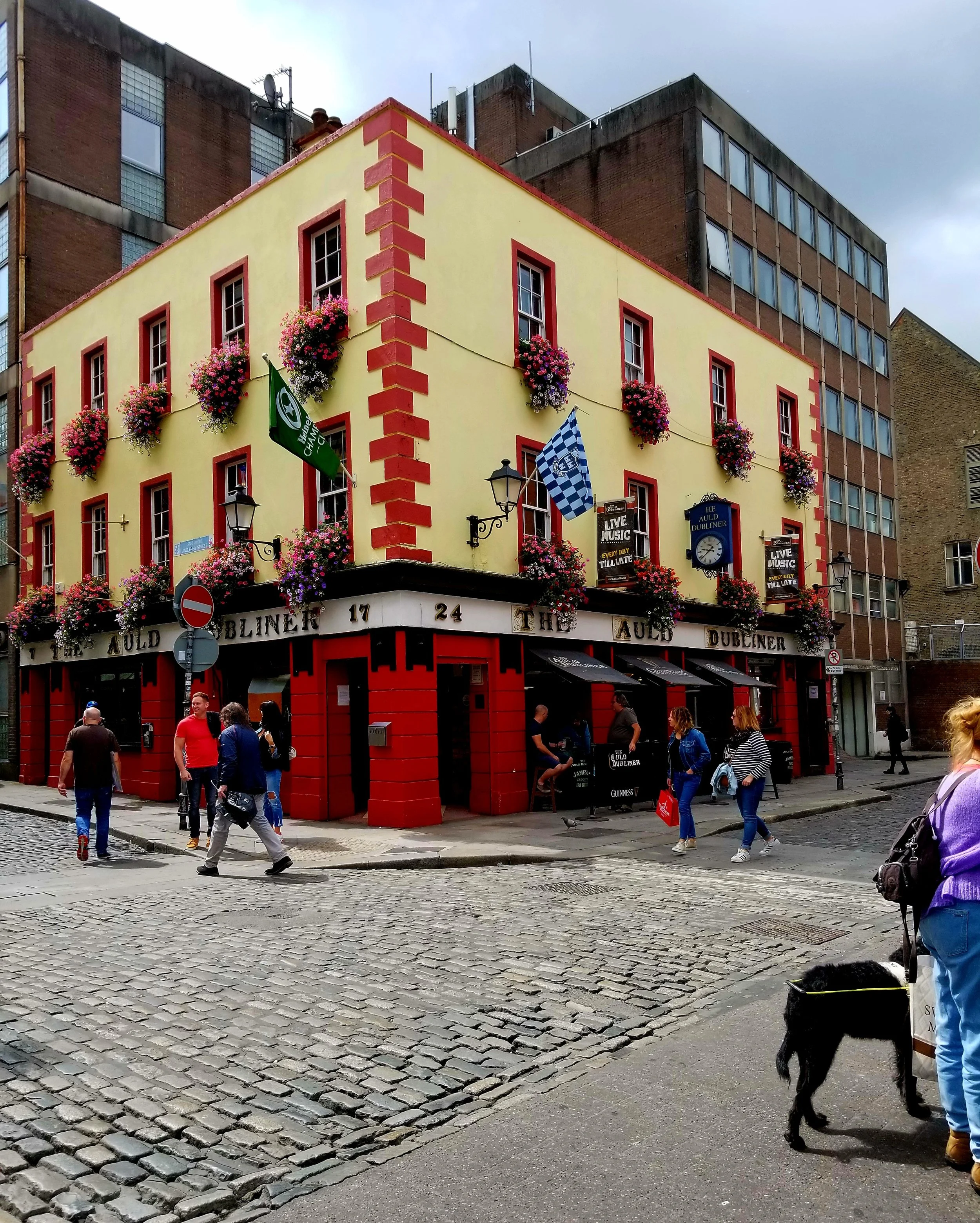 Life of a Dubliner (MATTE PRINT)