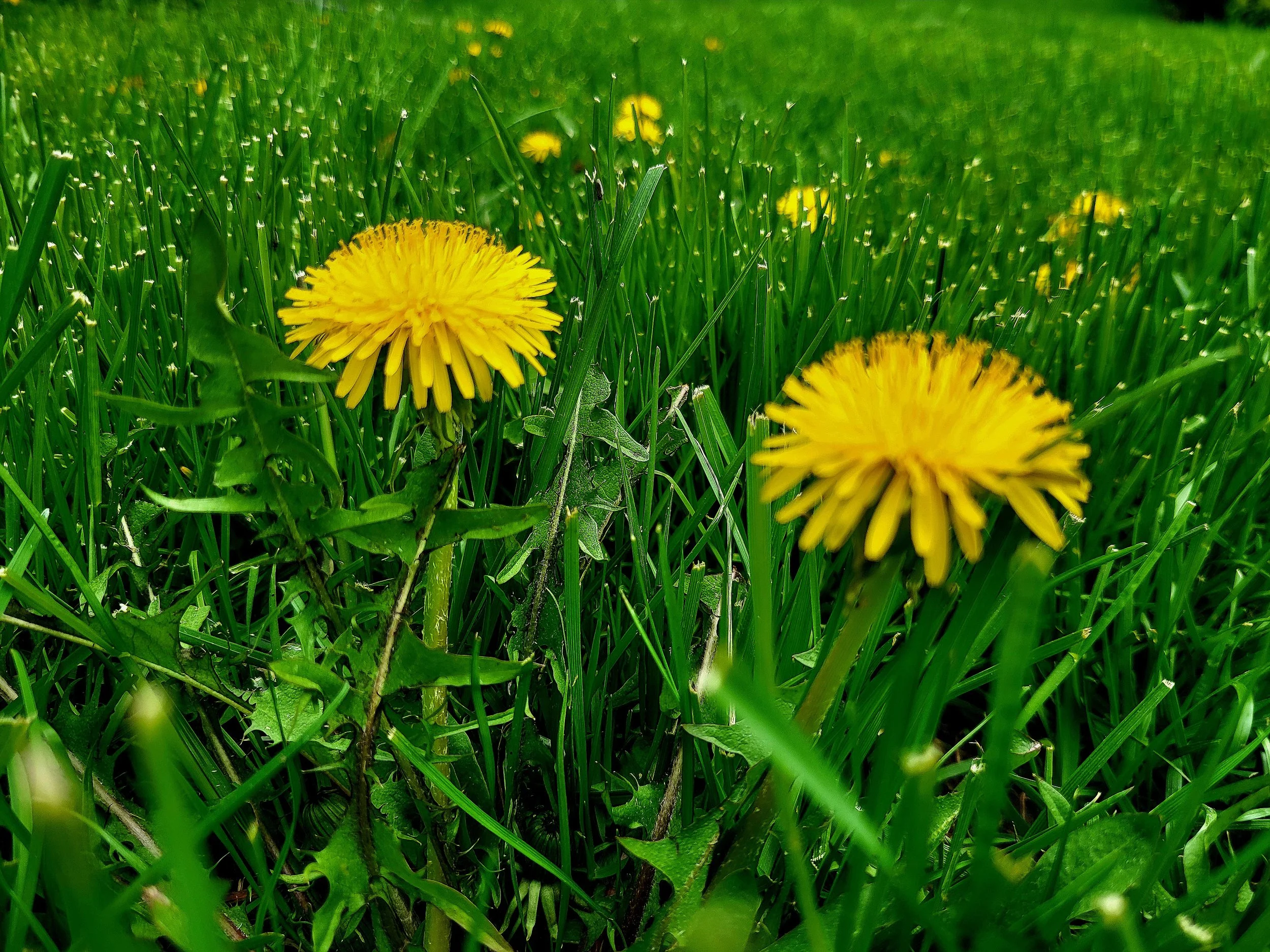 20260505_133953.jpg
