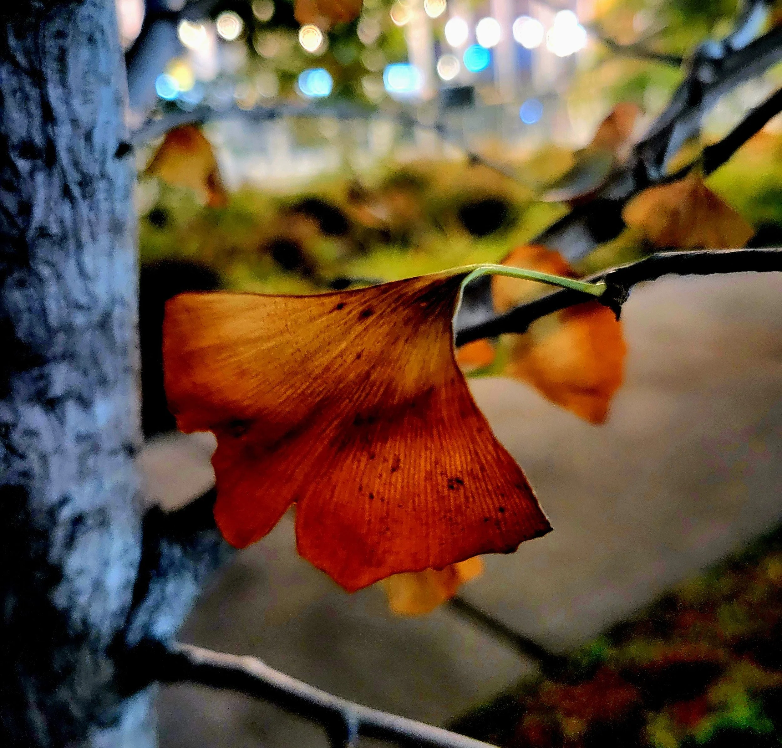 20251003_221643.jpg