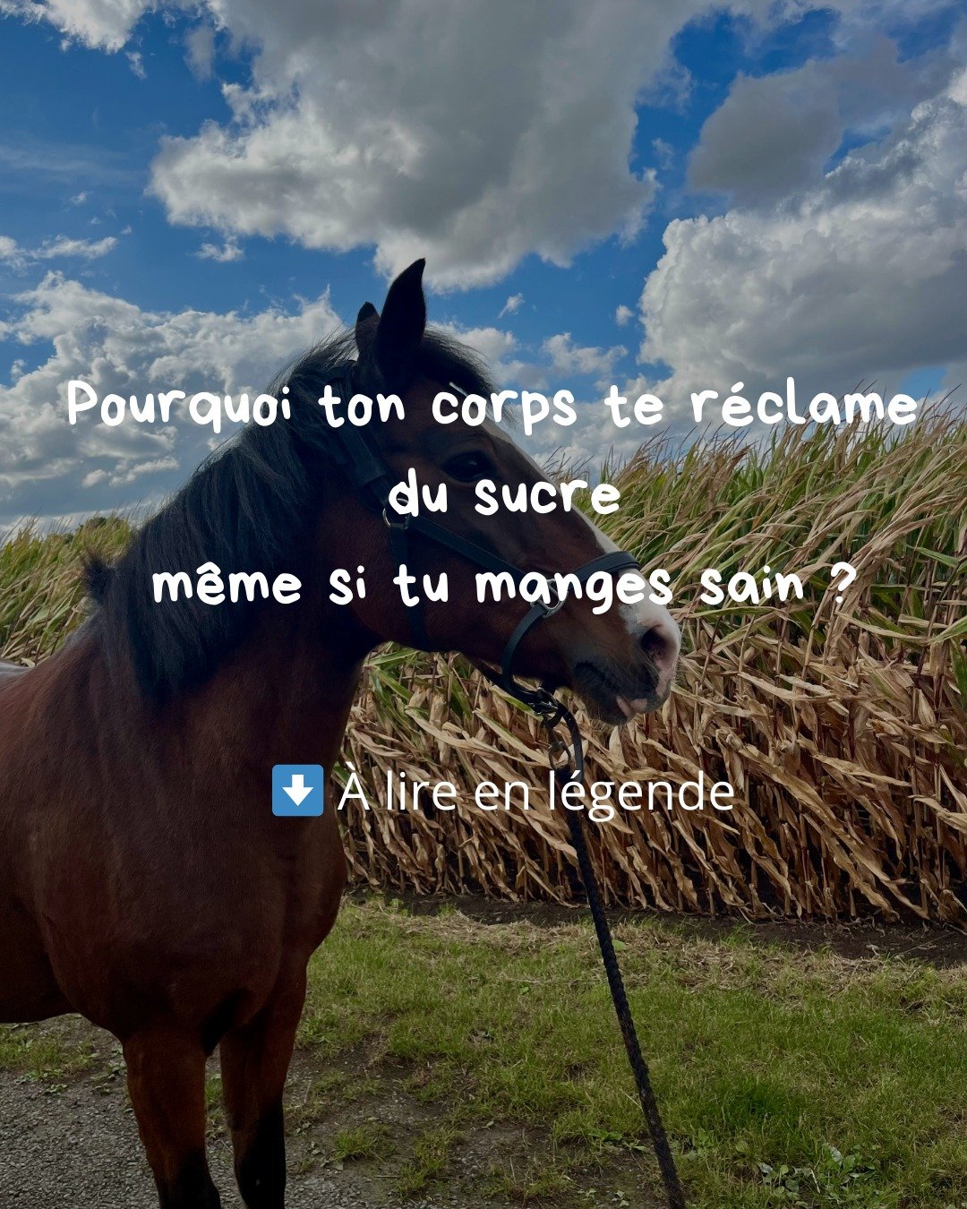 Tu manges &eacute;quilibr&eacute;.
Tu fais attention.
Et pourtant&hellip;

ces envies de sucre reviennent encore et encore.

Ce n&rsquo;est pas un manque de volont&eacute;.
Et ce n&rsquo;est pas un &ldquo;craquage&rdquo;.

🍬 Les envies de sucre sont