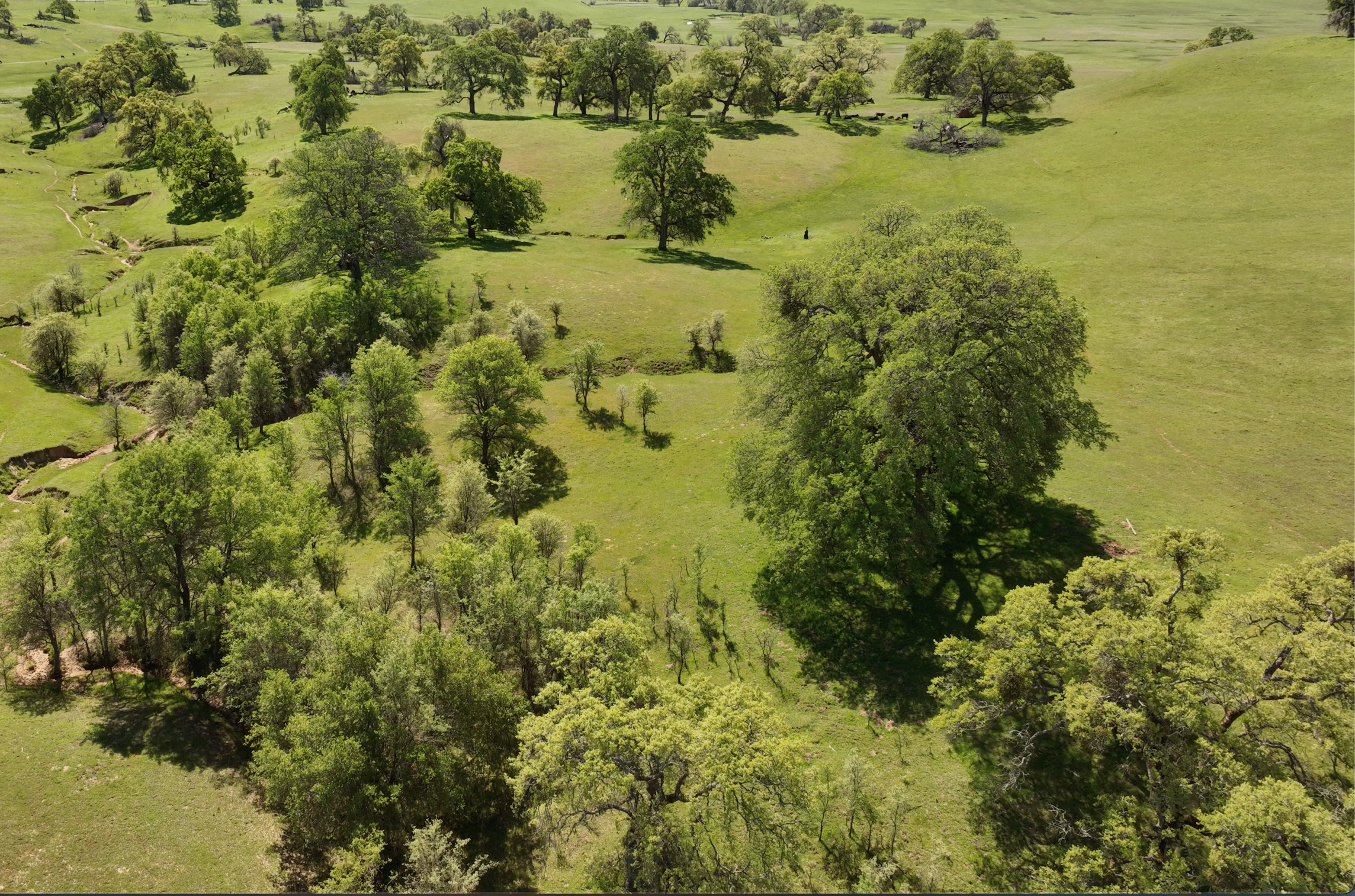 California State Parks and Recreation Commission Meeting - Wednesday, March 4th