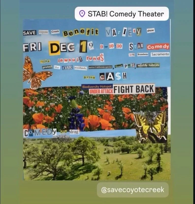 Save Coyote Creek Benefit Show