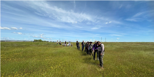 Prairie City SVRA Vernal Pool Tours