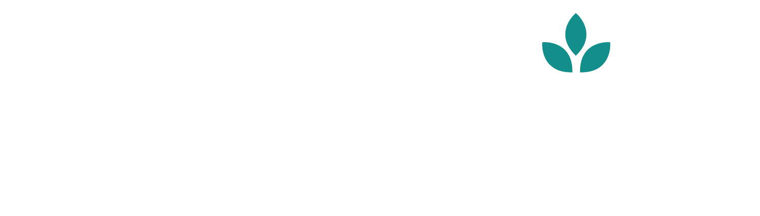 yogayin - škola jógy