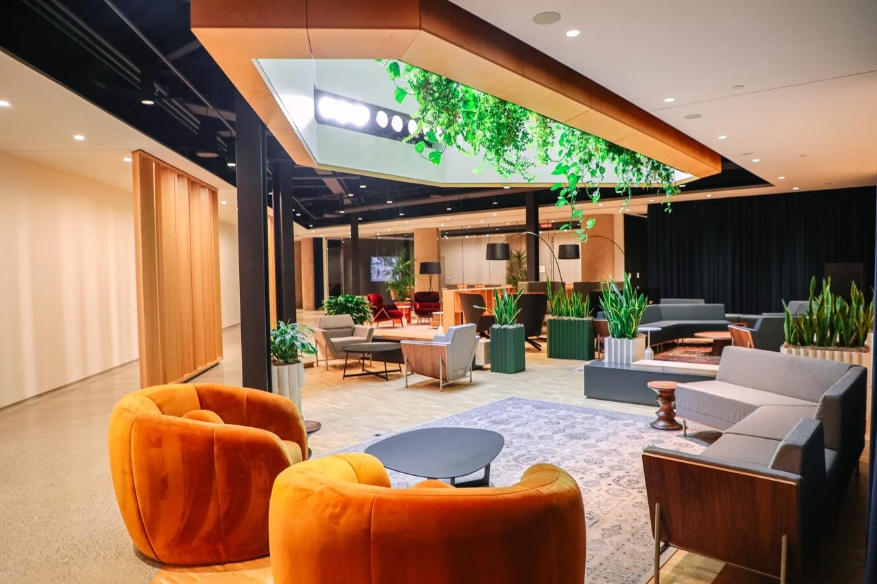 Modern hotel lobby with a variety of colorful chairs, sofas, and large potted plants, ceiling greenery, and ambient lighting.