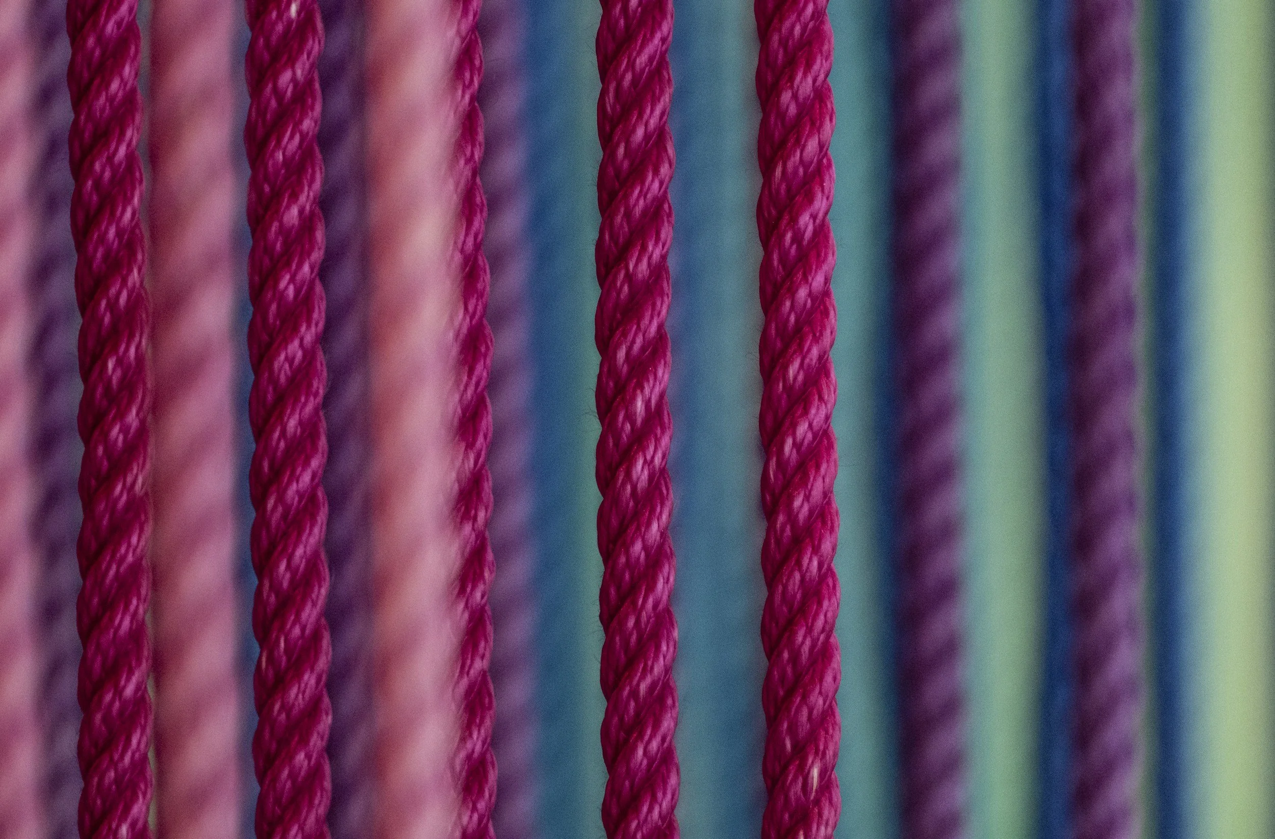 Close-up of colorful indoor climbing ropes in pink, purple, and blue.
