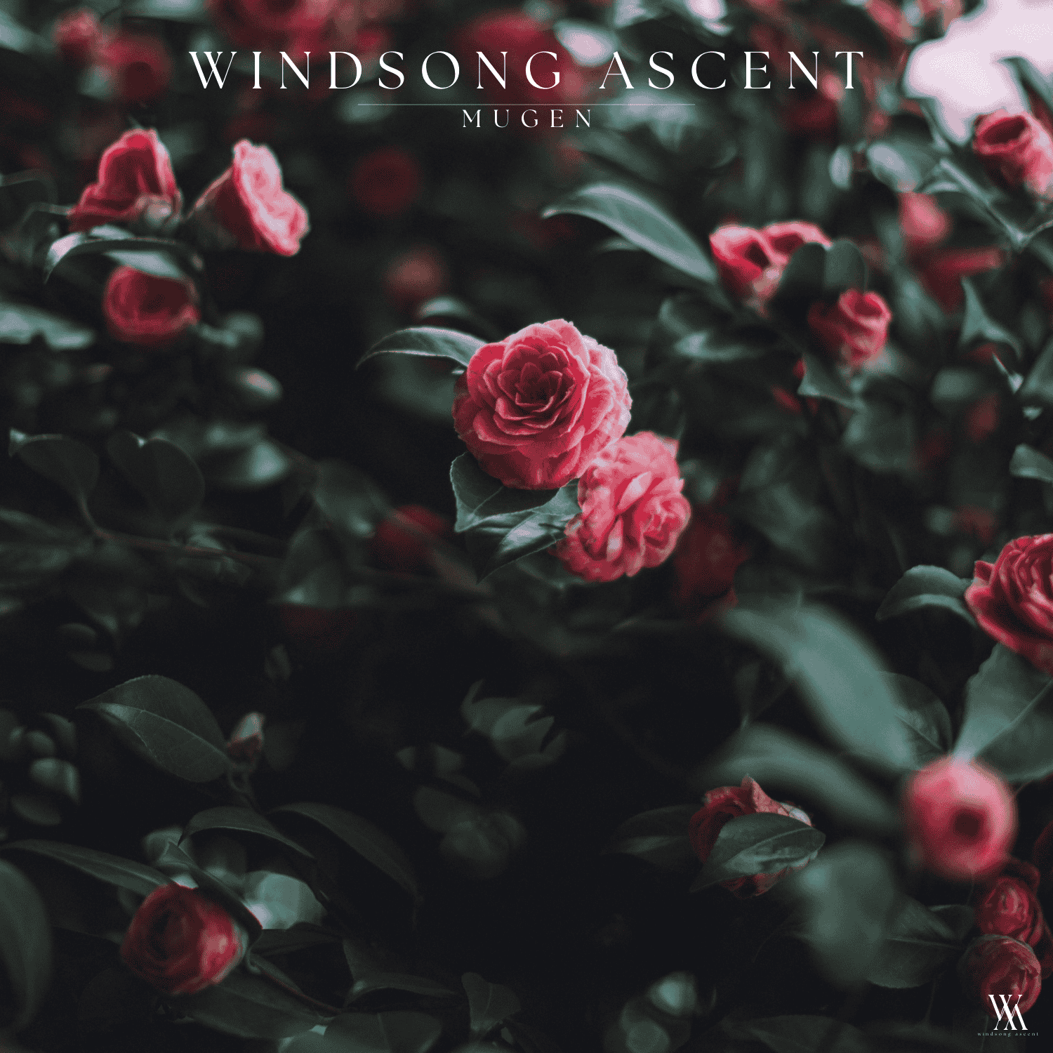 Windsong Ascent.png