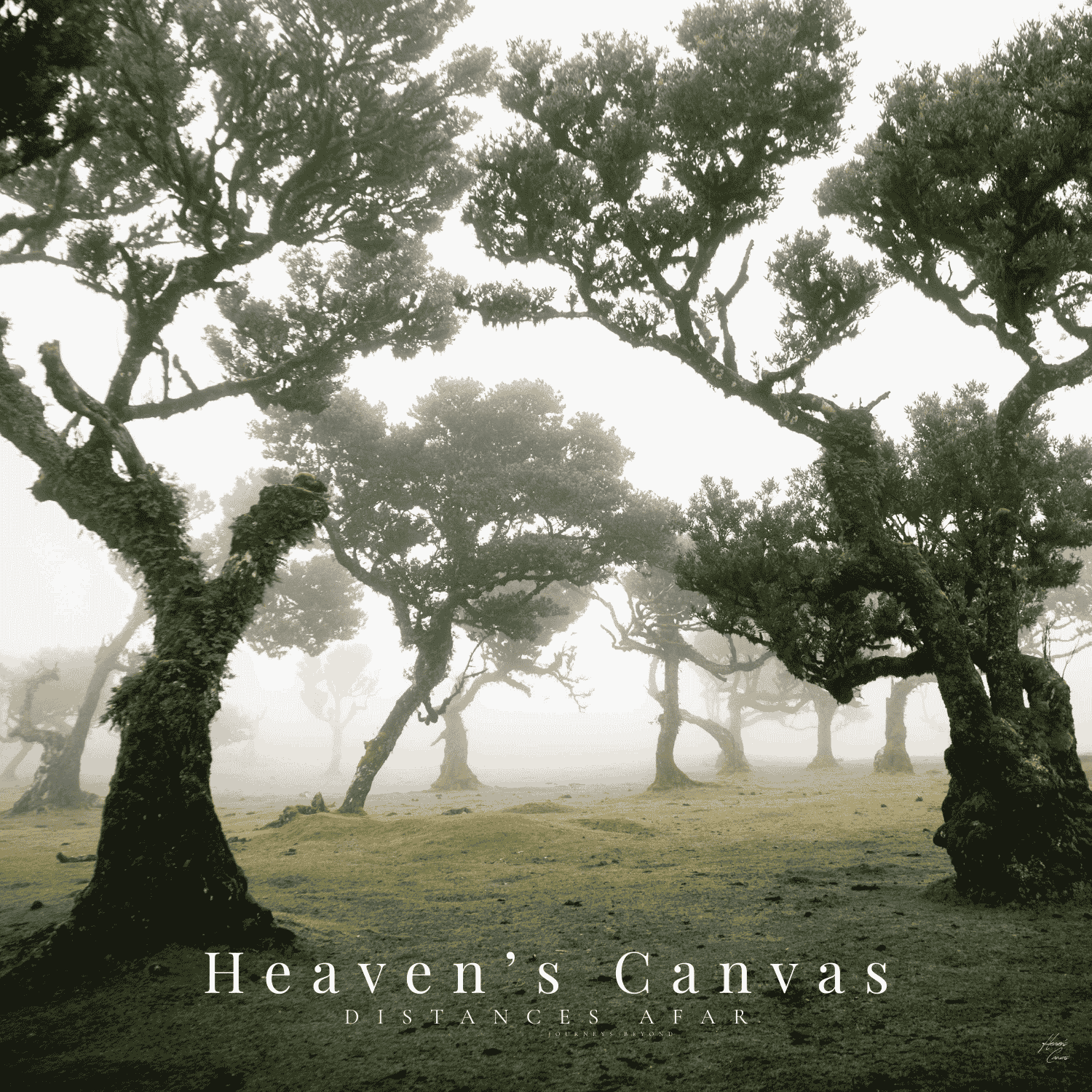 Heaven’s Canvas.png