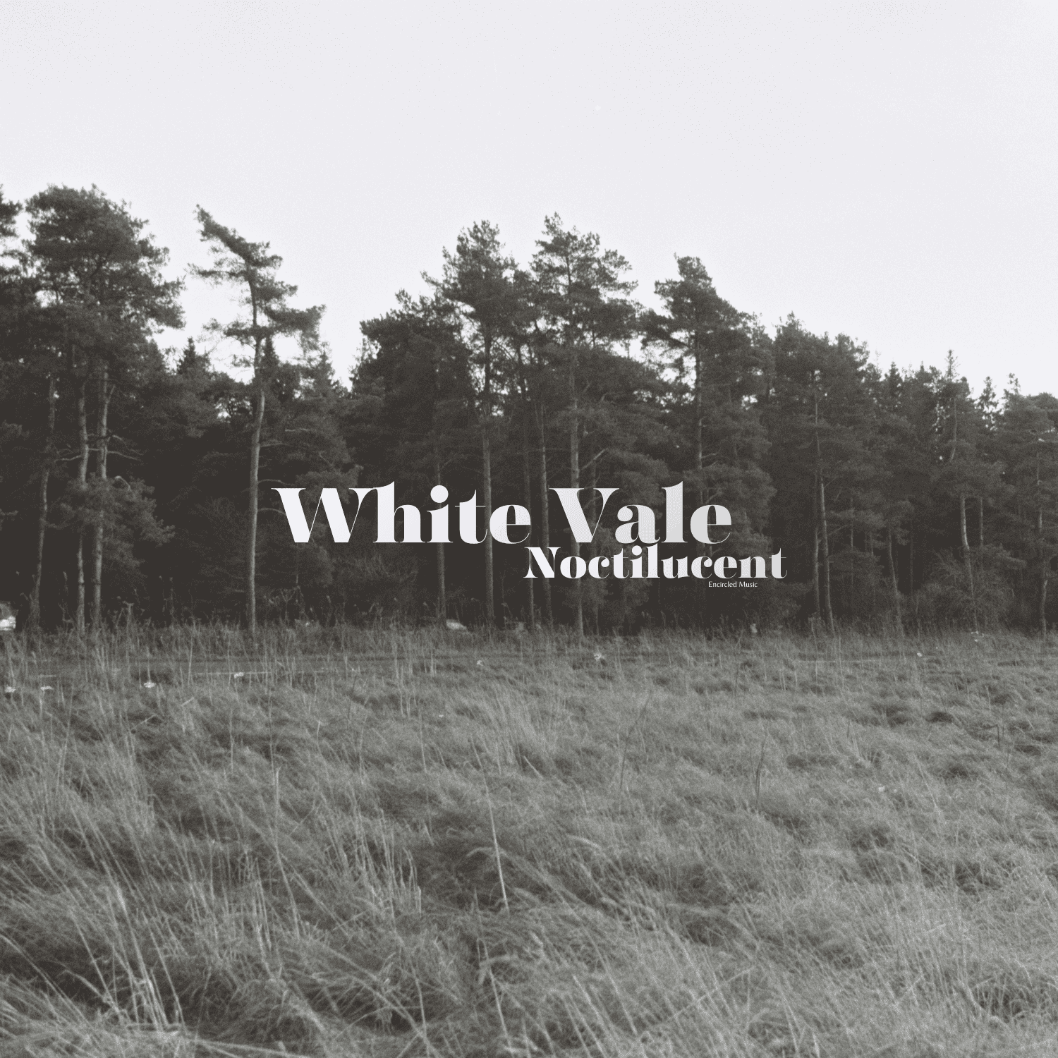 White Vale.png