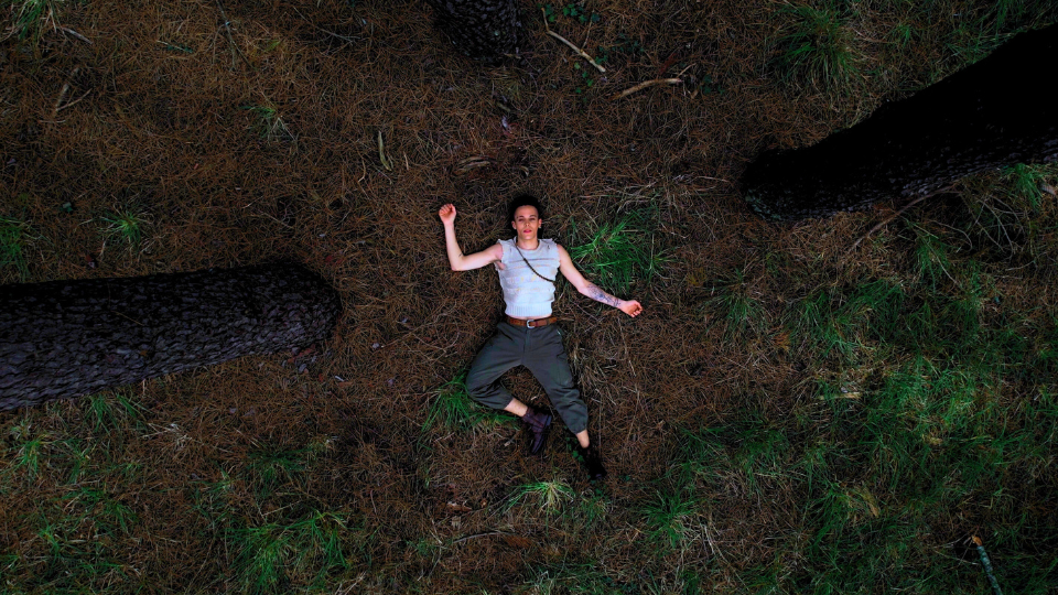 Banner Amnios - Bosque.png