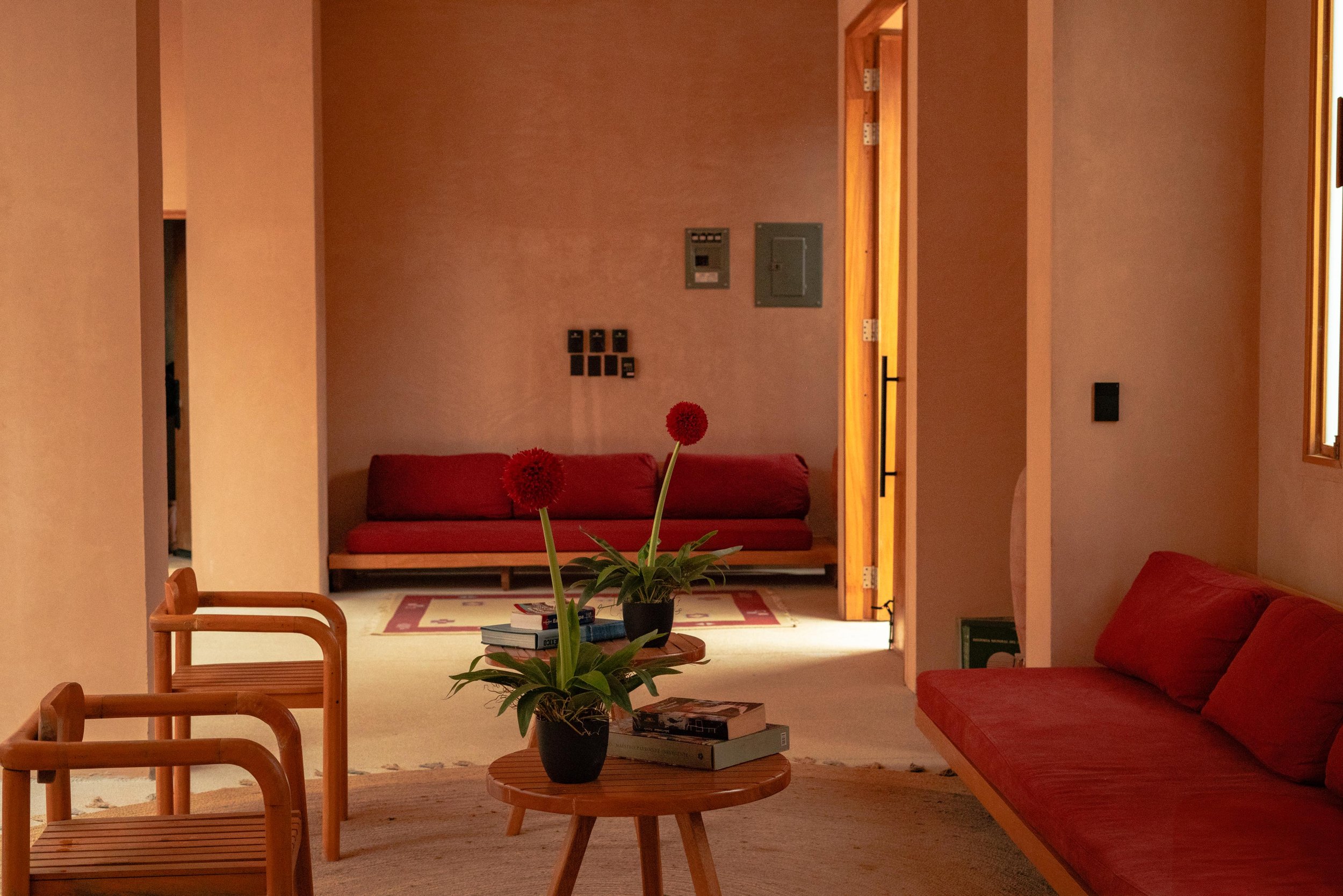 Casa Babel x @nellabertana43.jpg