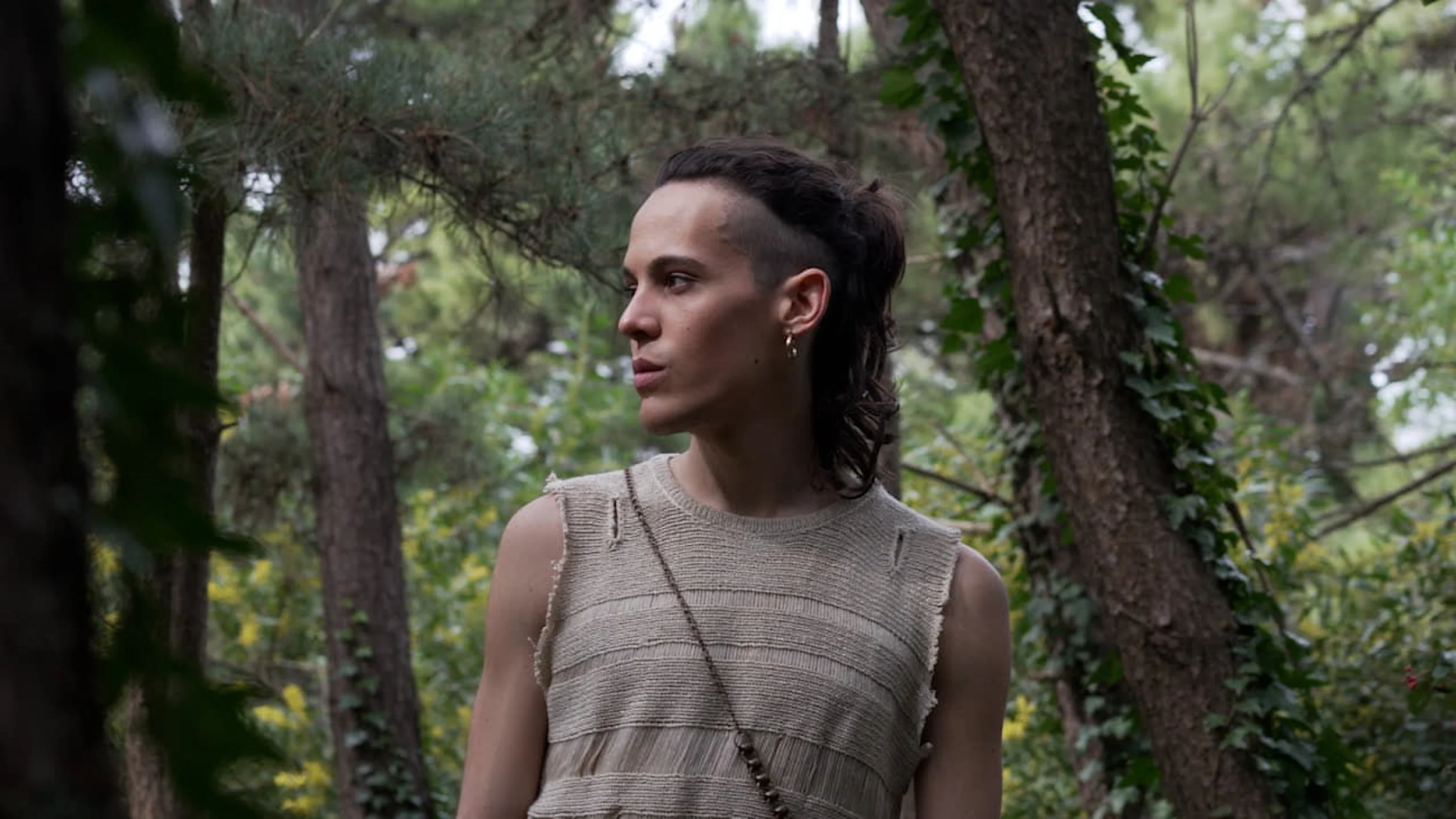 BOSQUE INTRO.00_00_26_03.Imagen fija001.jpg