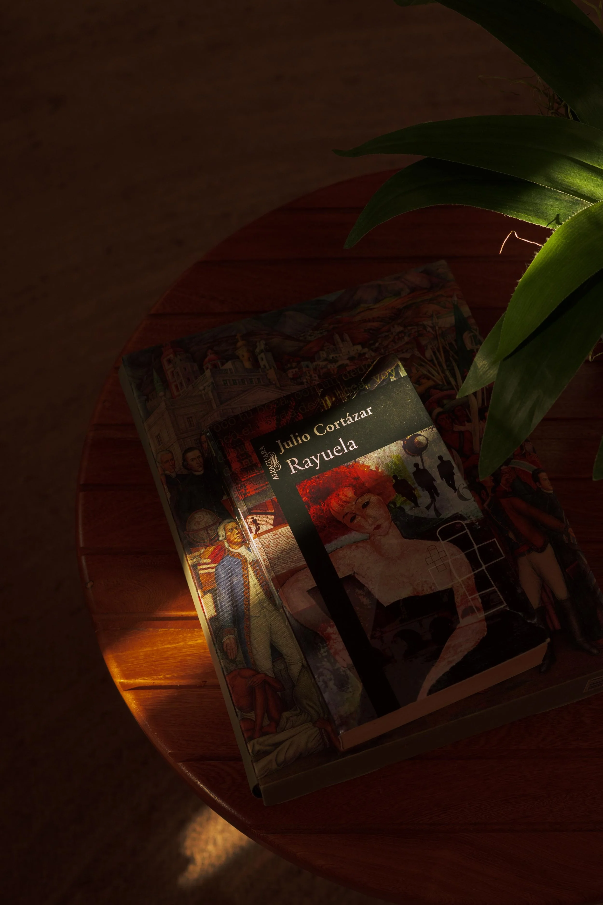 Casa Babel x @nellabertana76.jpg