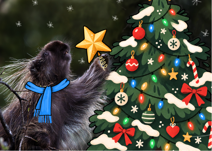 I Quill Be Home For Christmas