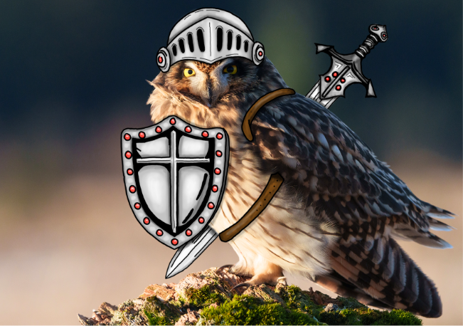 Knight Owl