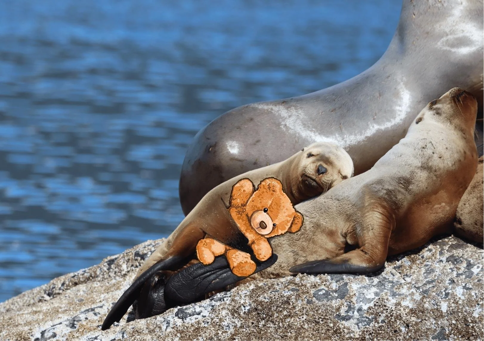 Art Print Sizes (12).jpg