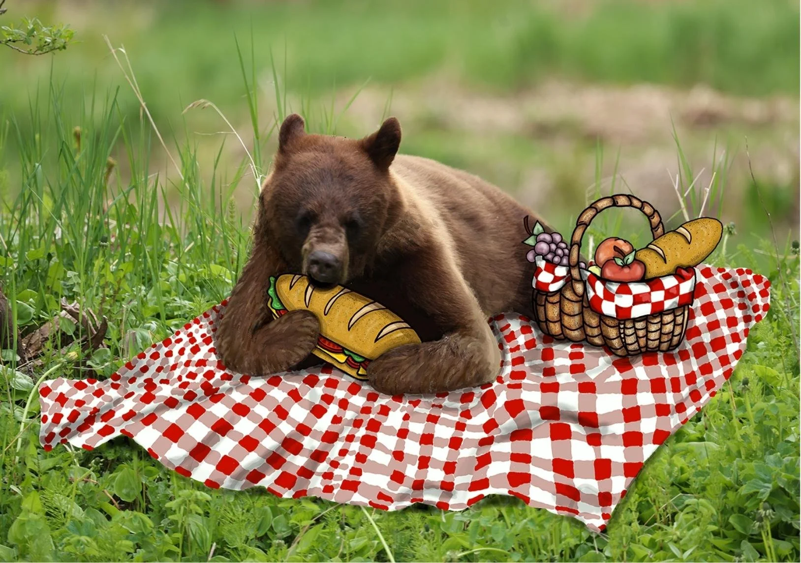 Art Print Sizes (2).jpg