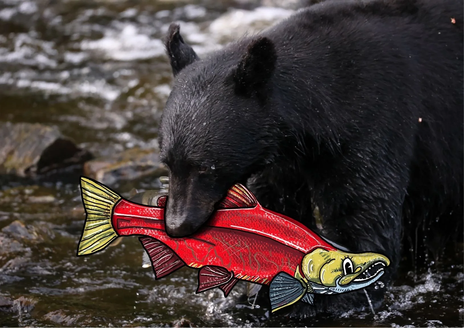 Oh-fish-ially Salmon Season