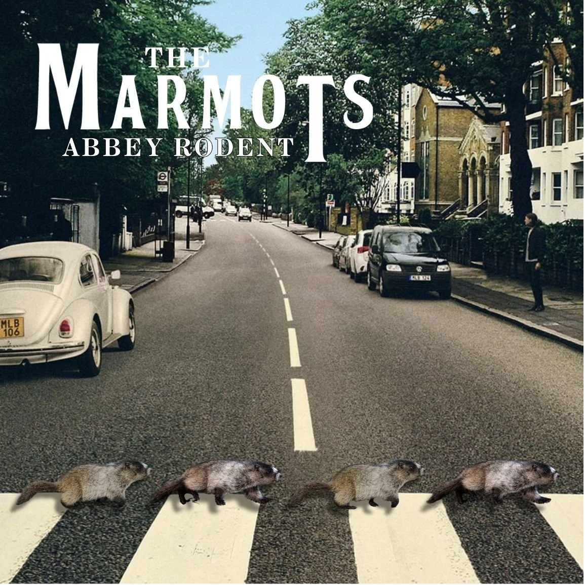 Art Print Sizes (24).jpg