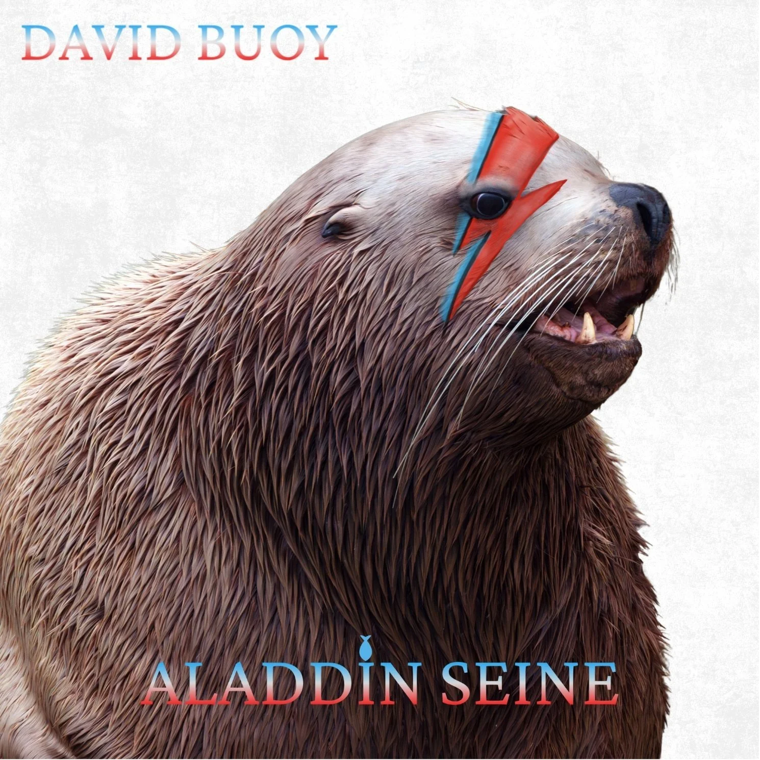 David Buoy (Aladdin Seine)