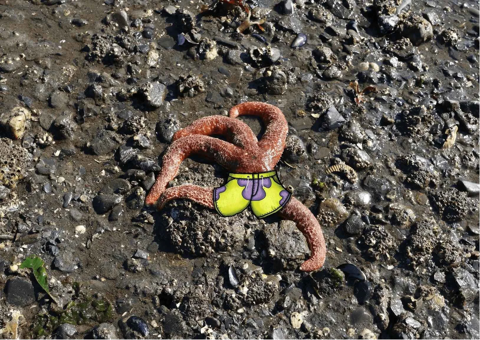 Art Print Sizes (15).jpg