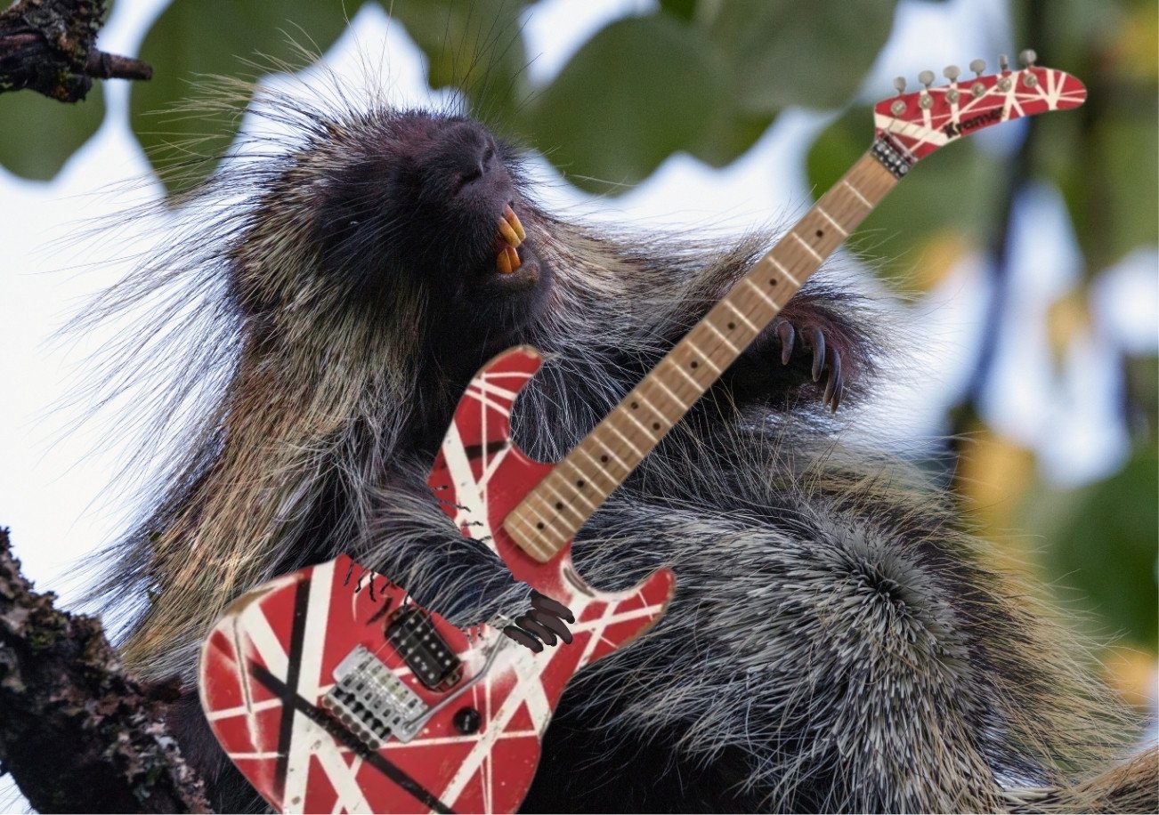 And The Cradle Quill Rock