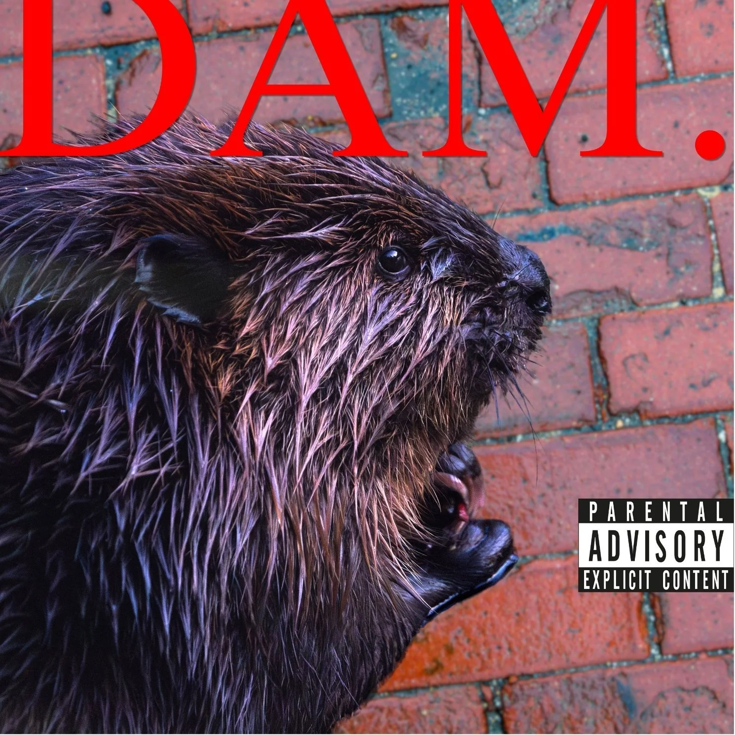 DAM.