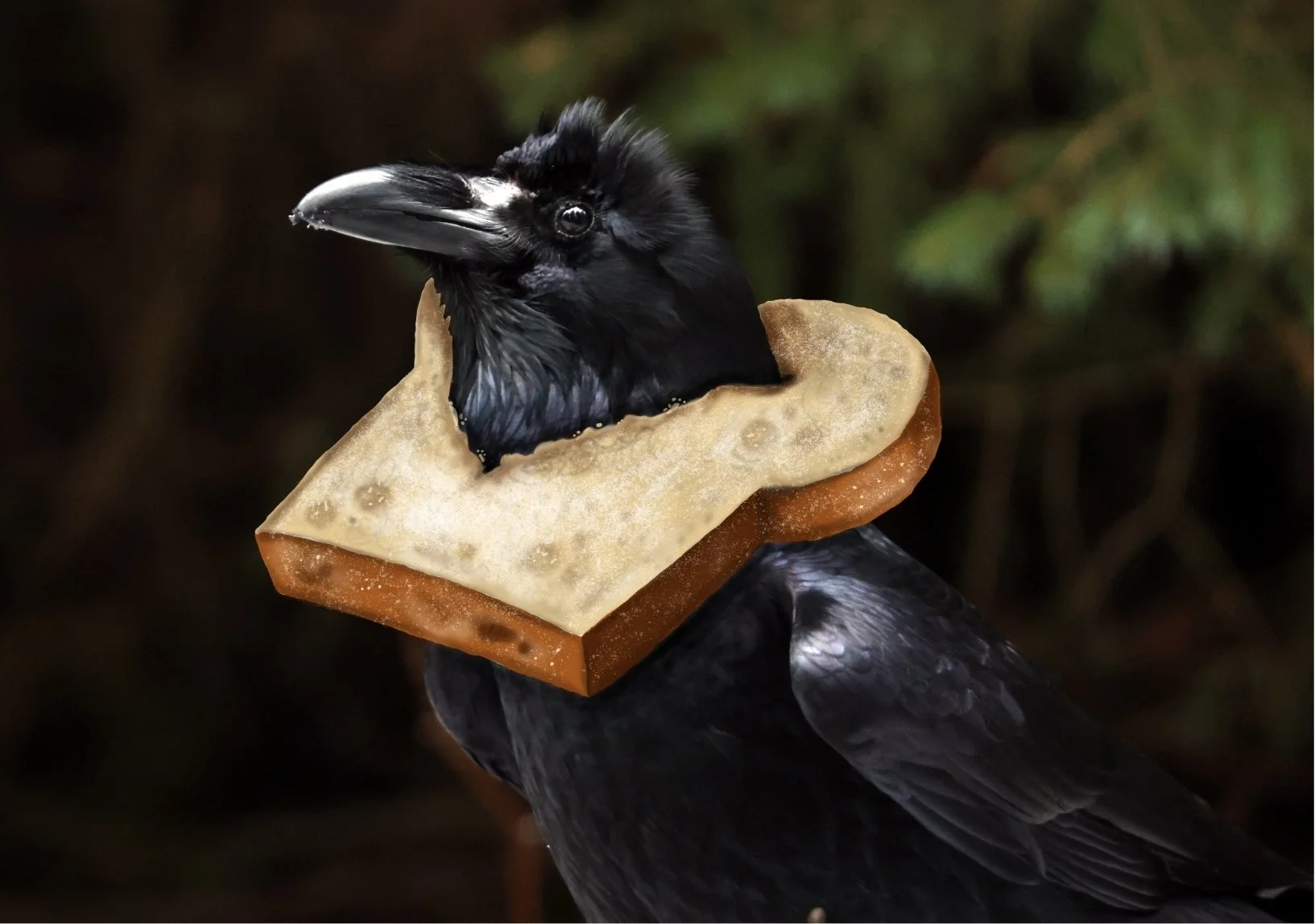 Art Print Sizes (32).jpg