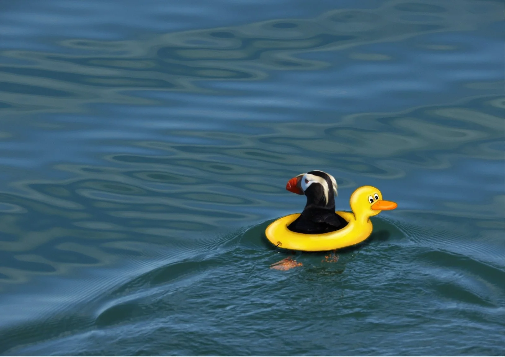 Art Print Sizes (6).jpg