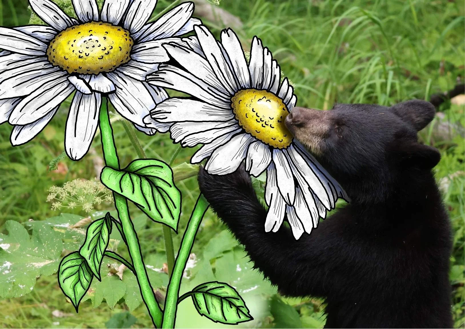 Art Print Sizes (13).jpg