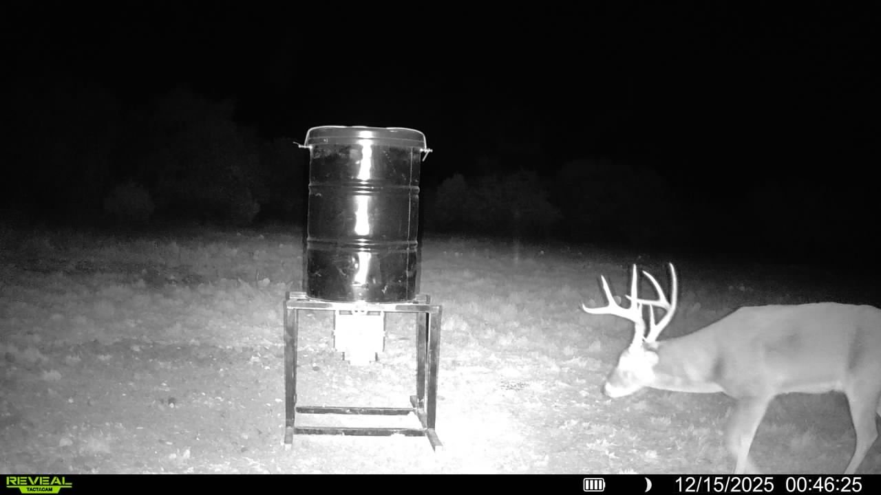 A deer with antlers in front of a metal feeder at night, illuminated by a trail camera.