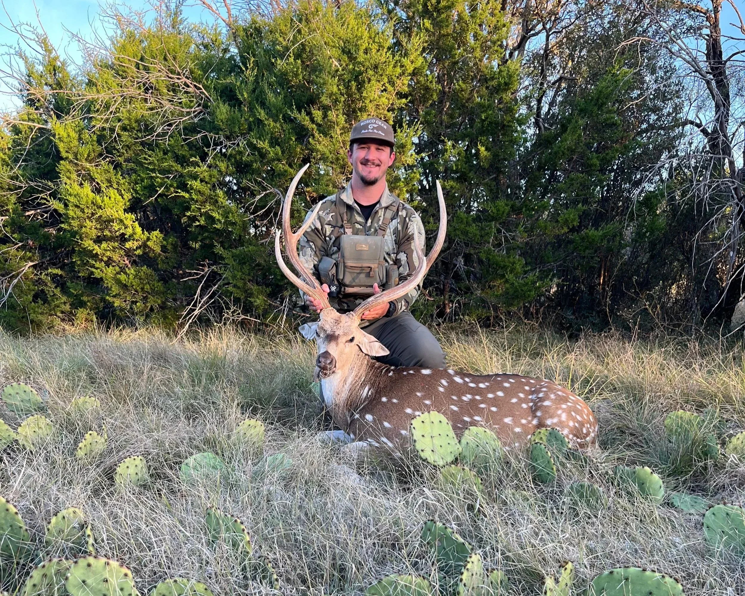 A man in camouflage clothing and a cap kneeling behind a dead deer with large antlers, in a grassy area with prickly pear cactus and dense trees in the background.