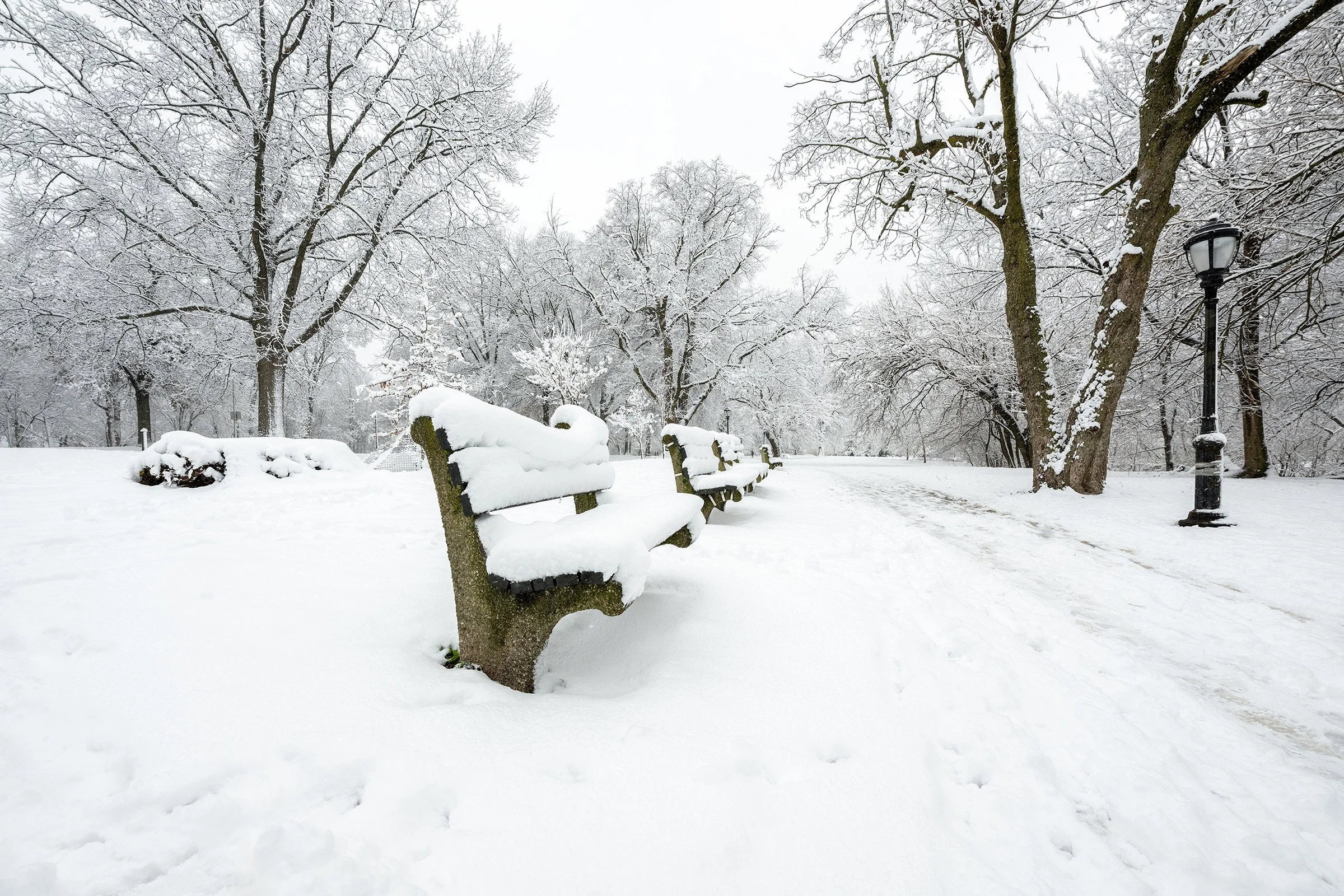 Snow-covered benches lining a quiet park path in Prospect Park, Brooklyn, during a winter scene.