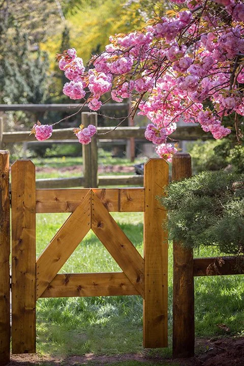 More Than a Gate