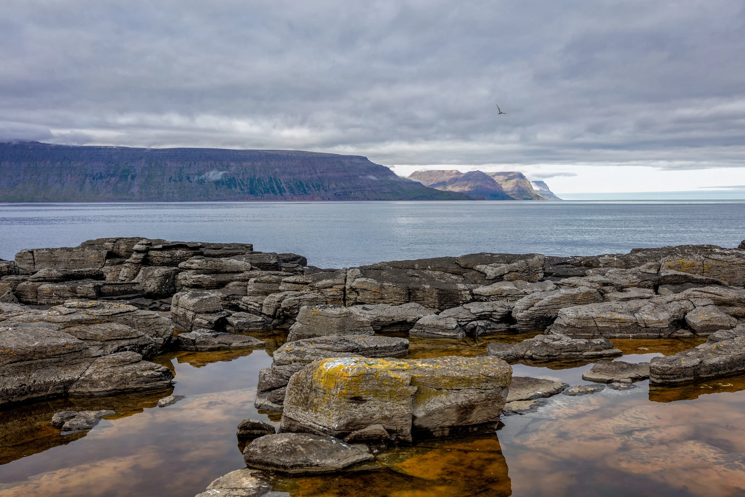 Dramatic Icelandic coastal landscape with rocky shoreline, reflective tidal pools, distant mountains, and an overcast sky.