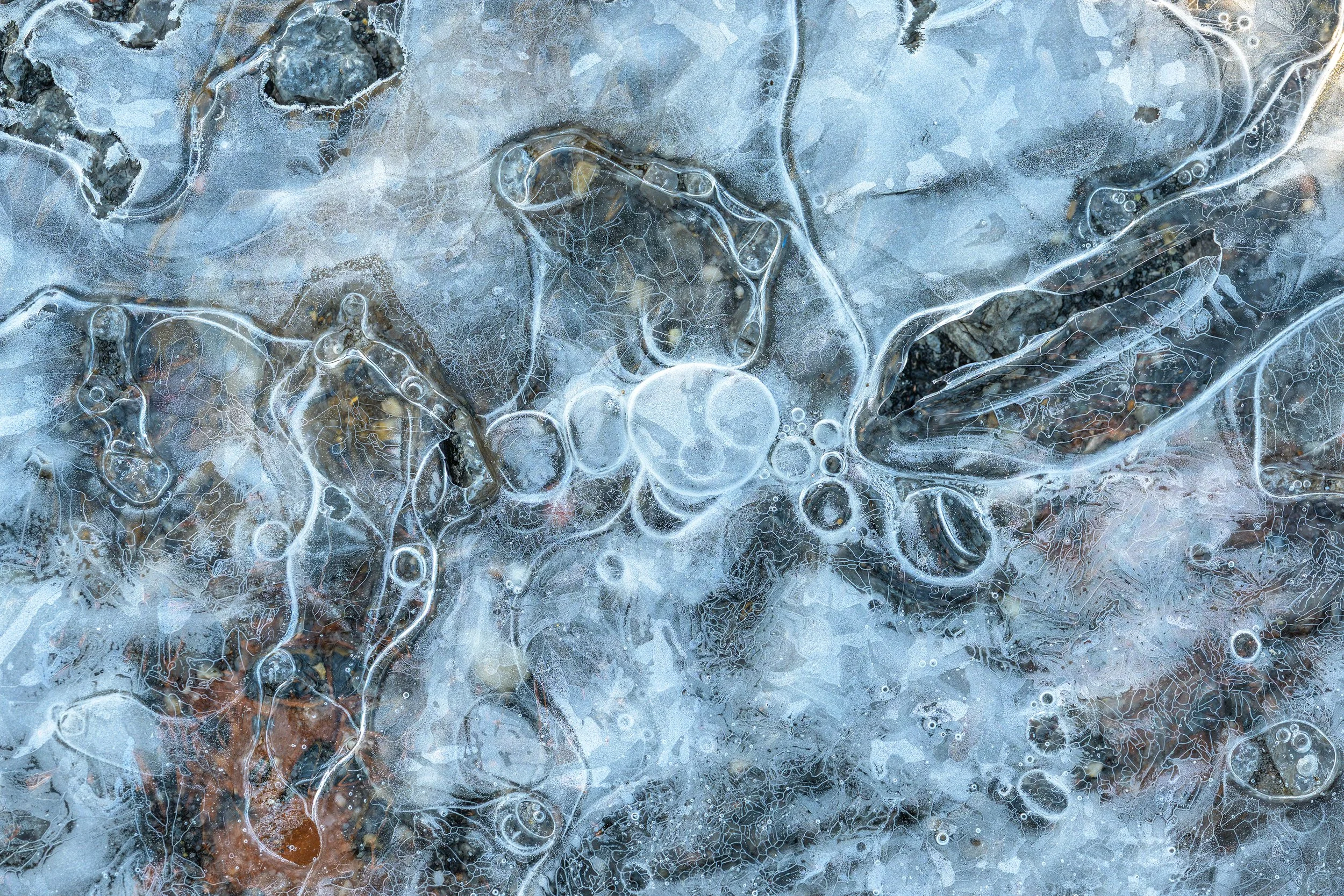 Abstract patterns of trapped air bubbles and channels inside frozen lake ice forming natural textures beneath the surface.