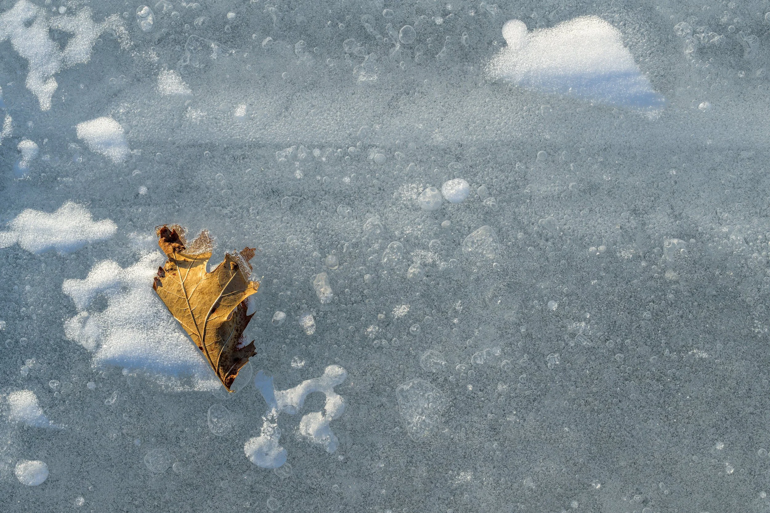 Golden-brown leaf trapped in blue-gray lake ice, surrounded by bubbles and cloudlike white patterns.